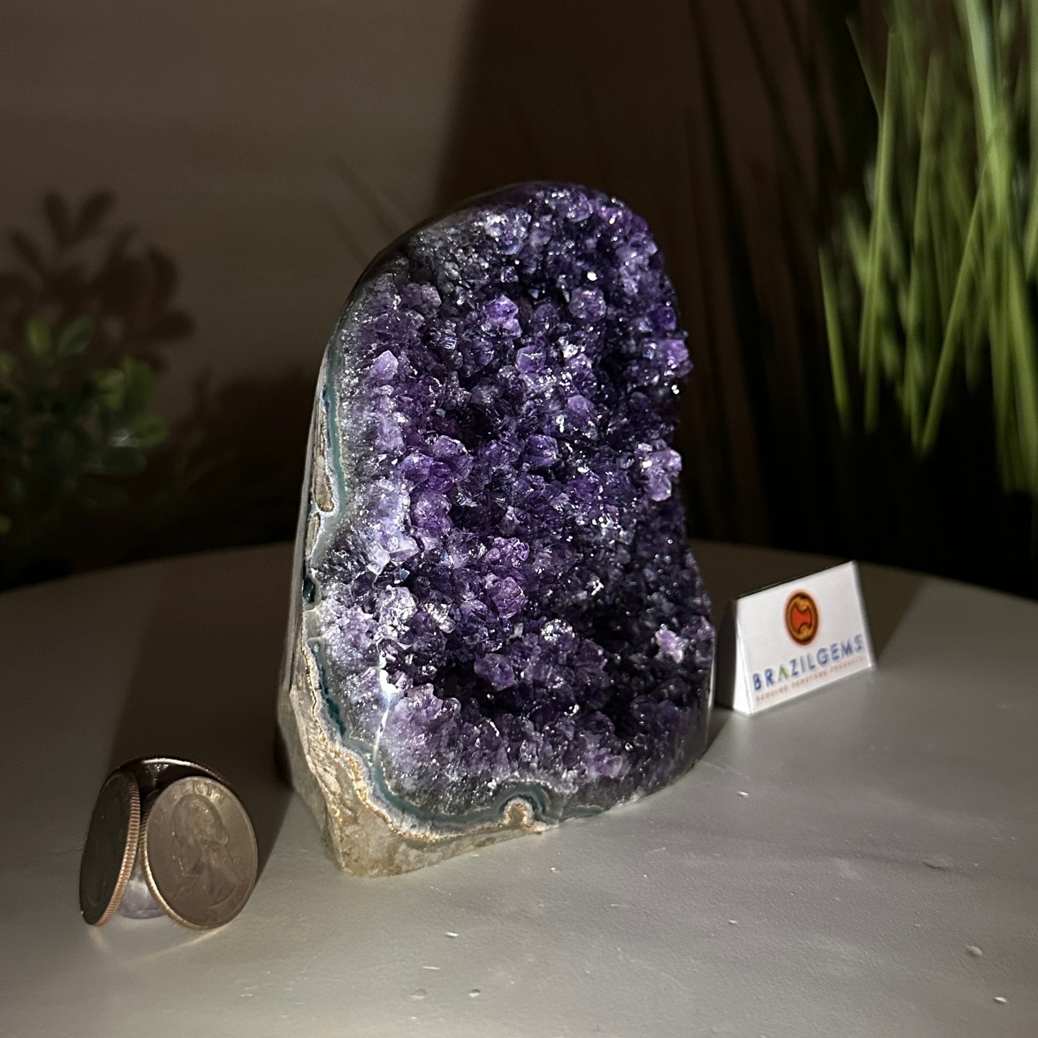 Small Extra Plus Quality Amethyst Cluster Flat Base, 4.7" Tall 5611 - 0924 - Brazil GemsBrazil GemsSmall Extra Plus Quality Amethyst Cluster Flat Base, 4.7" Tall 5611 - 0924Small Clusters with Flat Bases5611 - 0924