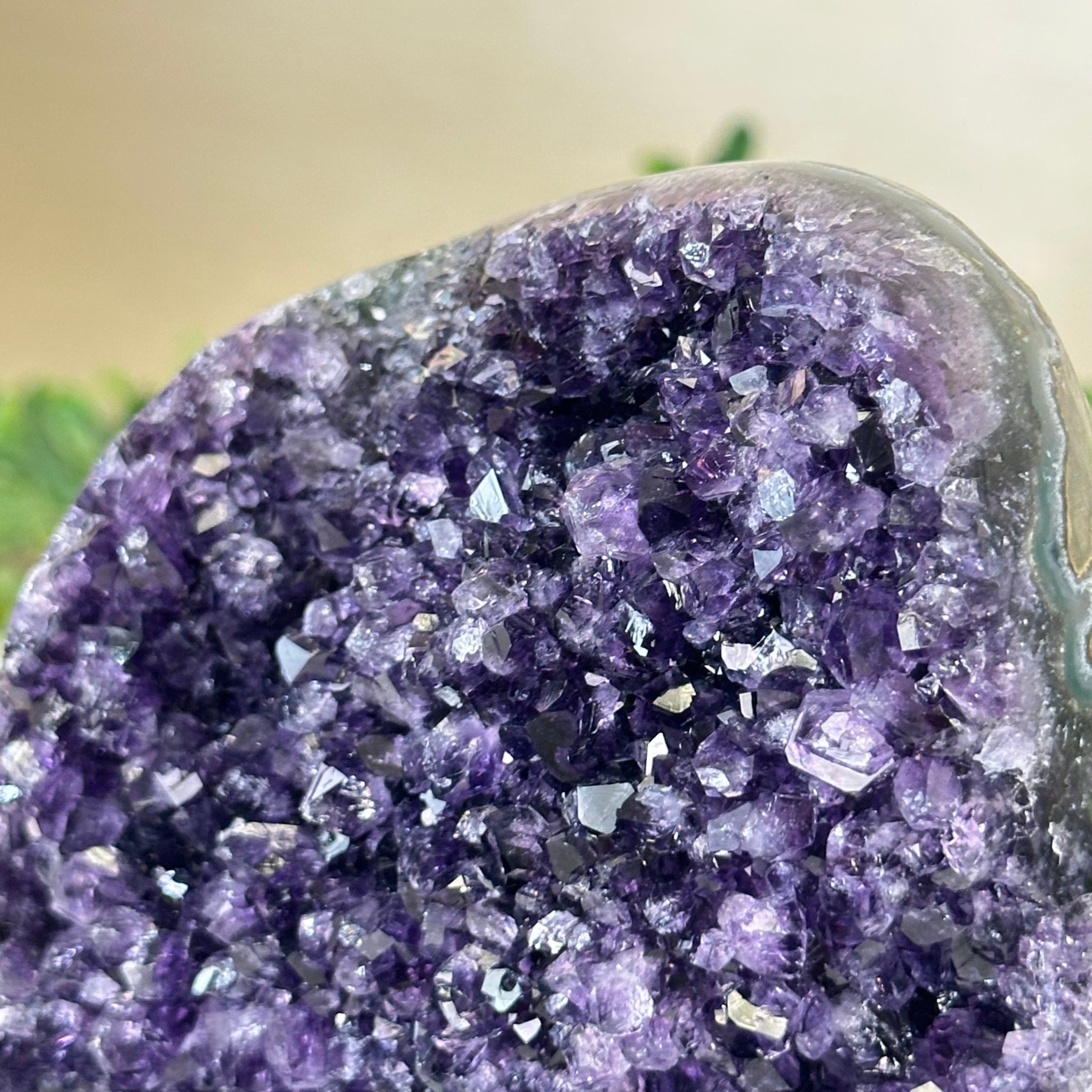 Small Extra Plus Quality Amethyst Cluster Flat Base, 4.7" Tall 5611 - 0924 - Brazil GemsBrazil GemsSmall Extra Plus Quality Amethyst Cluster Flat Base, 4.7" Tall 5611 - 0924Small Clusters with Flat Bases5611 - 0924