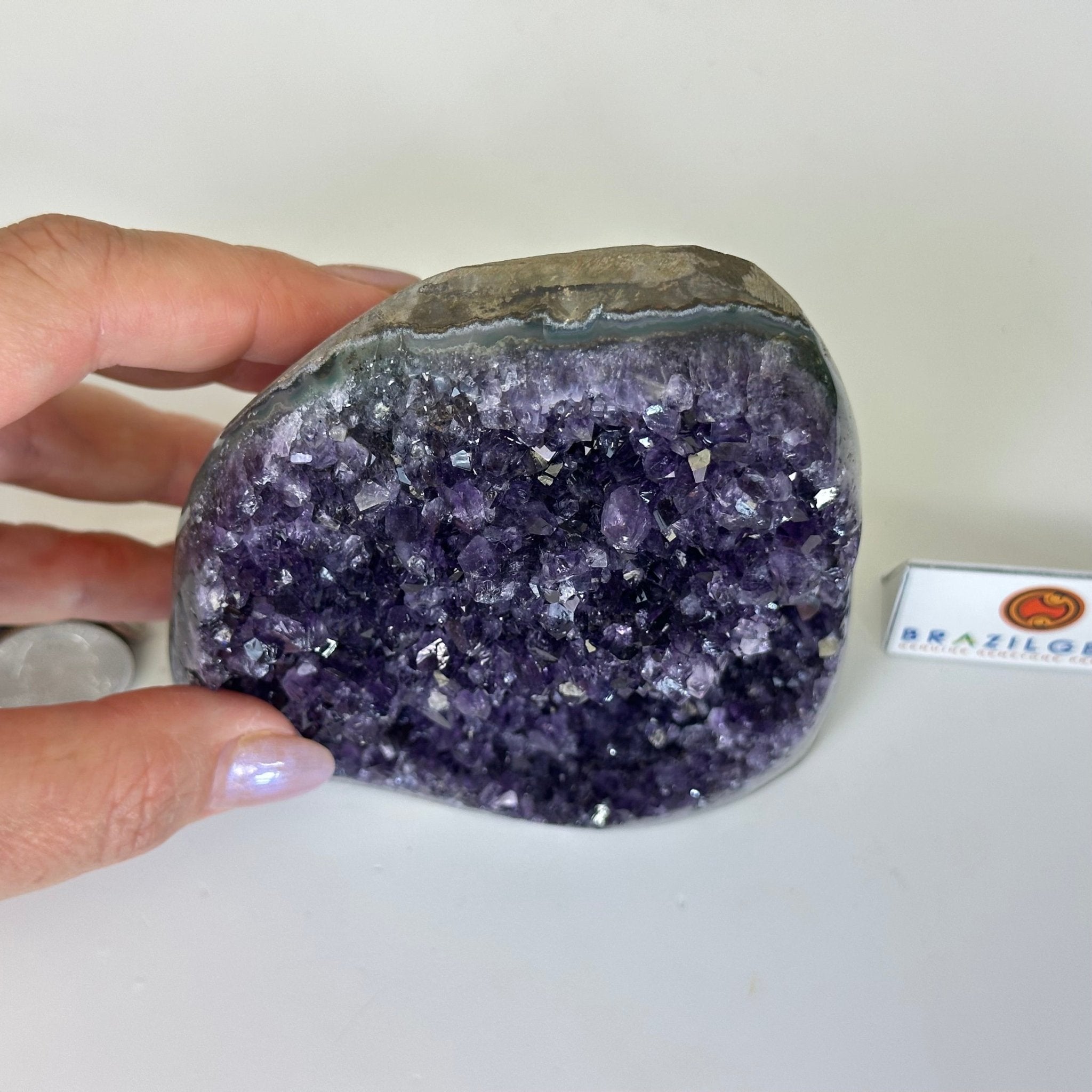 Small Extra Plus Quality Amethyst Cluster Flat Base, 4.7" Tall 5611 - 0924 - Brazil GemsBrazil GemsSmall Extra Plus Quality Amethyst Cluster Flat Base, 4.7" Tall 5611 - 0924Small Clusters with Flat Bases5611 - 0924