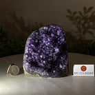 Small Extra Plus Quality Amethyst Cluster Flat Base, 4.7" Tall 5611 - 0924 - Brazil GemsBrazil GemsSmall Extra Plus Quality Amethyst Cluster Flat Base, 4.7" Tall 5611 - 0924Small Clusters with Flat Bases5611 - 0924