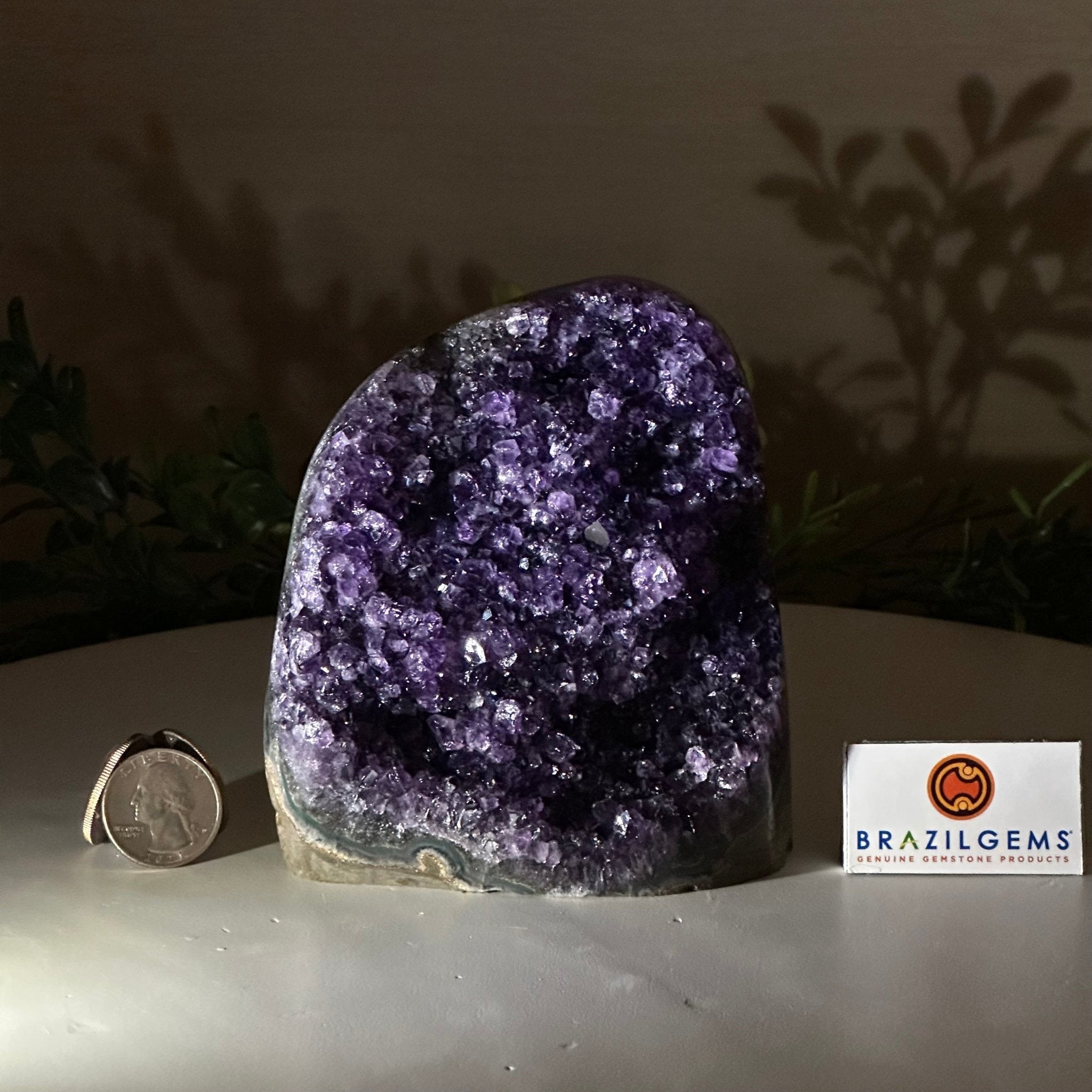 Small Extra Plus Quality Amethyst Cluster Flat Base, 4.7" Tall 5611 - 0924 - Brazil GemsBrazil GemsSmall Extra Plus Quality Amethyst Cluster Flat Base, 4.7" Tall 5611 - 0924Small Clusters with Flat Bases5611 - 0924