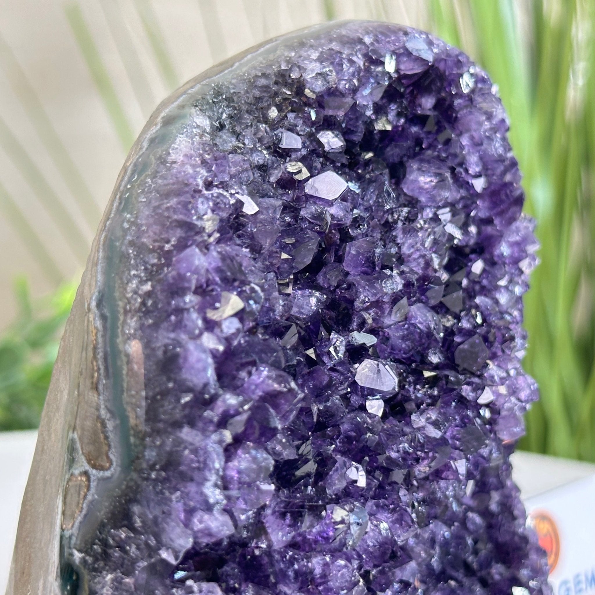 Small Extra Plus Quality Amethyst Cluster Flat Base, 4.7" Tall 5611 - 0924 - Brazil GemsBrazil GemsSmall Extra Plus Quality Amethyst Cluster Flat Base, 4.7" Tall 5611 - 0924Small Clusters with Flat Bases5611 - 0924