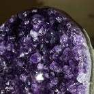 Small Extra Plus Quality Amethyst Cluster Flat Base, 4.8" Tall 5611 - 0927 - Brazil GemsBrazil GemsSmall Extra Plus Quality Amethyst Cluster Flat Base, 4.8" Tall 5611 - 0927Small Clusters with Flat Bases5611 - 0927