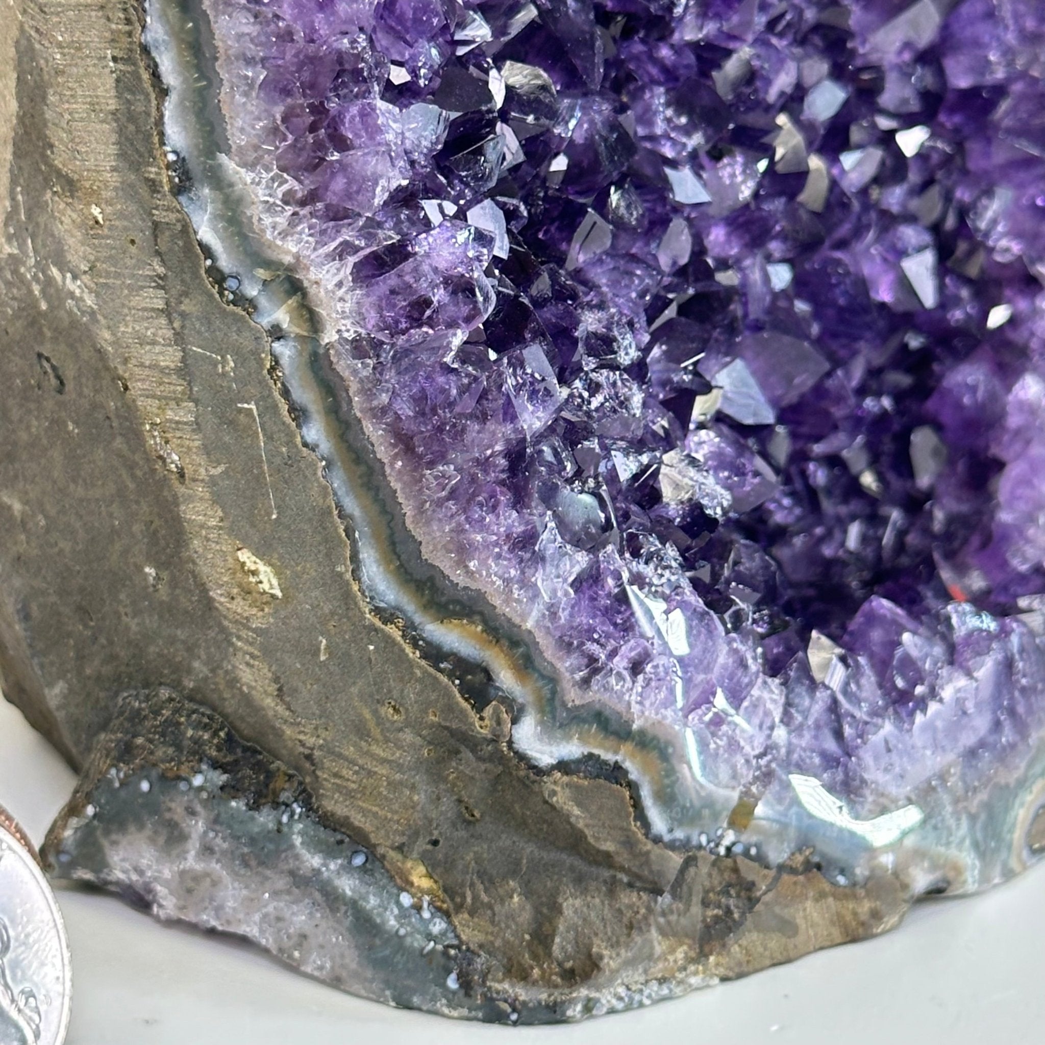 Small Extra Plus Quality Amethyst Cluster Flat Base, 4.8" Tall 5611 - 0927 - Brazil GemsBrazil GemsSmall Extra Plus Quality Amethyst Cluster Flat Base, 4.8" Tall 5611 - 0927Small Clusters with Flat Bases5611 - 0927