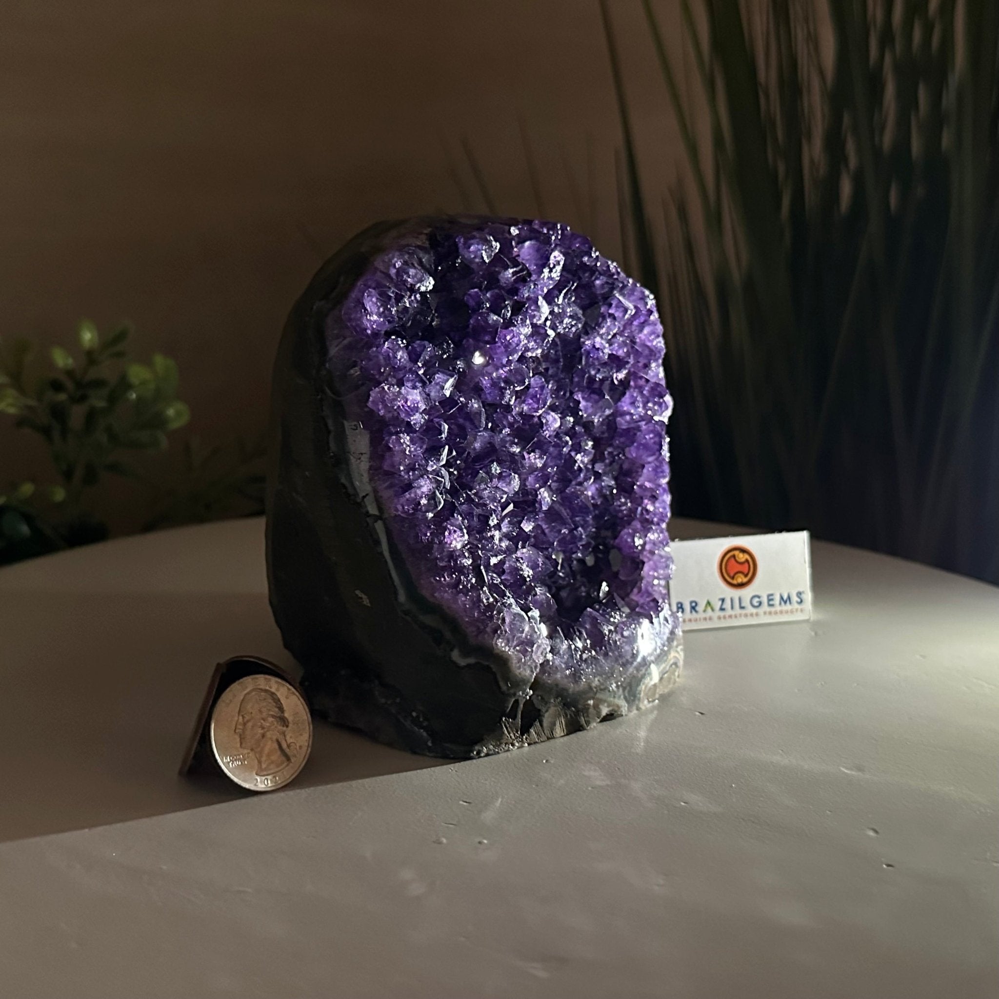 Small Extra Plus Quality Amethyst Cluster Flat Base, 4.8" Tall 5611 - 0927 - Brazil GemsBrazil GemsSmall Extra Plus Quality Amethyst Cluster Flat Base, 4.8" Tall 5611 - 0927Small Clusters with Flat Bases5611 - 0927