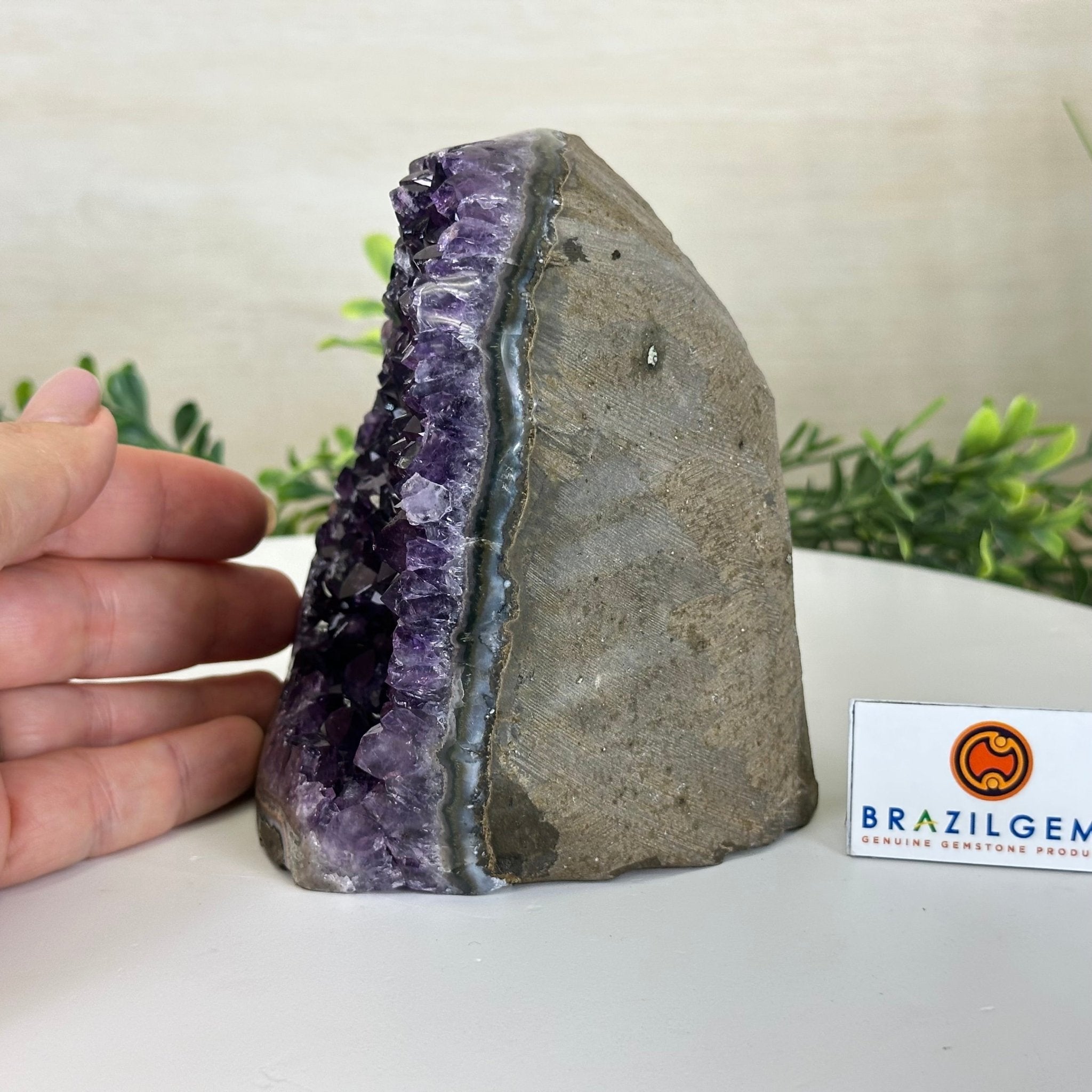 Small Extra Plus Quality Amethyst Cluster Flat Base, 4.8" Tall 5611 - 0927 - Brazil GemsBrazil GemsSmall Extra Plus Quality Amethyst Cluster Flat Base, 4.8" Tall 5611 - 0927Small Clusters with Flat Bases5611 - 0927