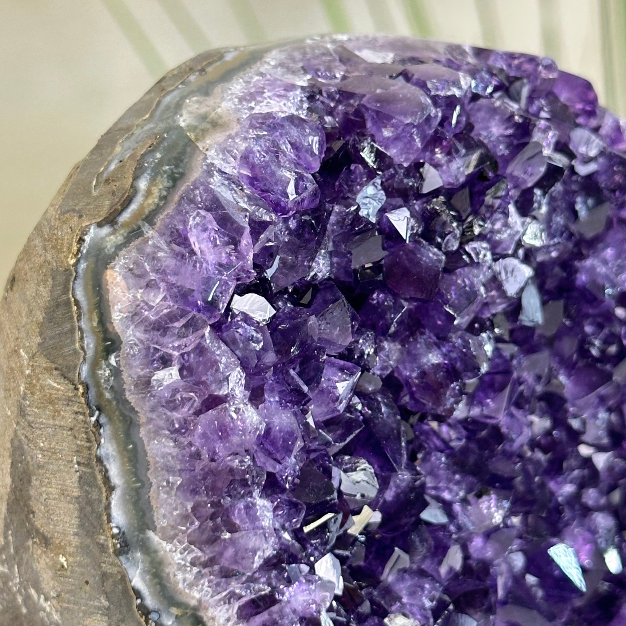 Small Extra Plus Quality Amethyst Cluster Flat Base, 4.8" Tall 5611 - 0927 - Brazil GemsBrazil GemsSmall Extra Plus Quality Amethyst Cluster Flat Base, 4.8" Tall 5611 - 0927Small Clusters with Flat Bases5611 - 0927