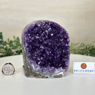 Small Extra Plus Quality Amethyst Cluster Flat Base, 4.8" Tall 5611 - 0927 - Brazil GemsBrazil GemsSmall Extra Plus Quality Amethyst Cluster Flat Base, 4.8" Tall 5611 - 0927Small Clusters with Flat Bases5611 - 0927