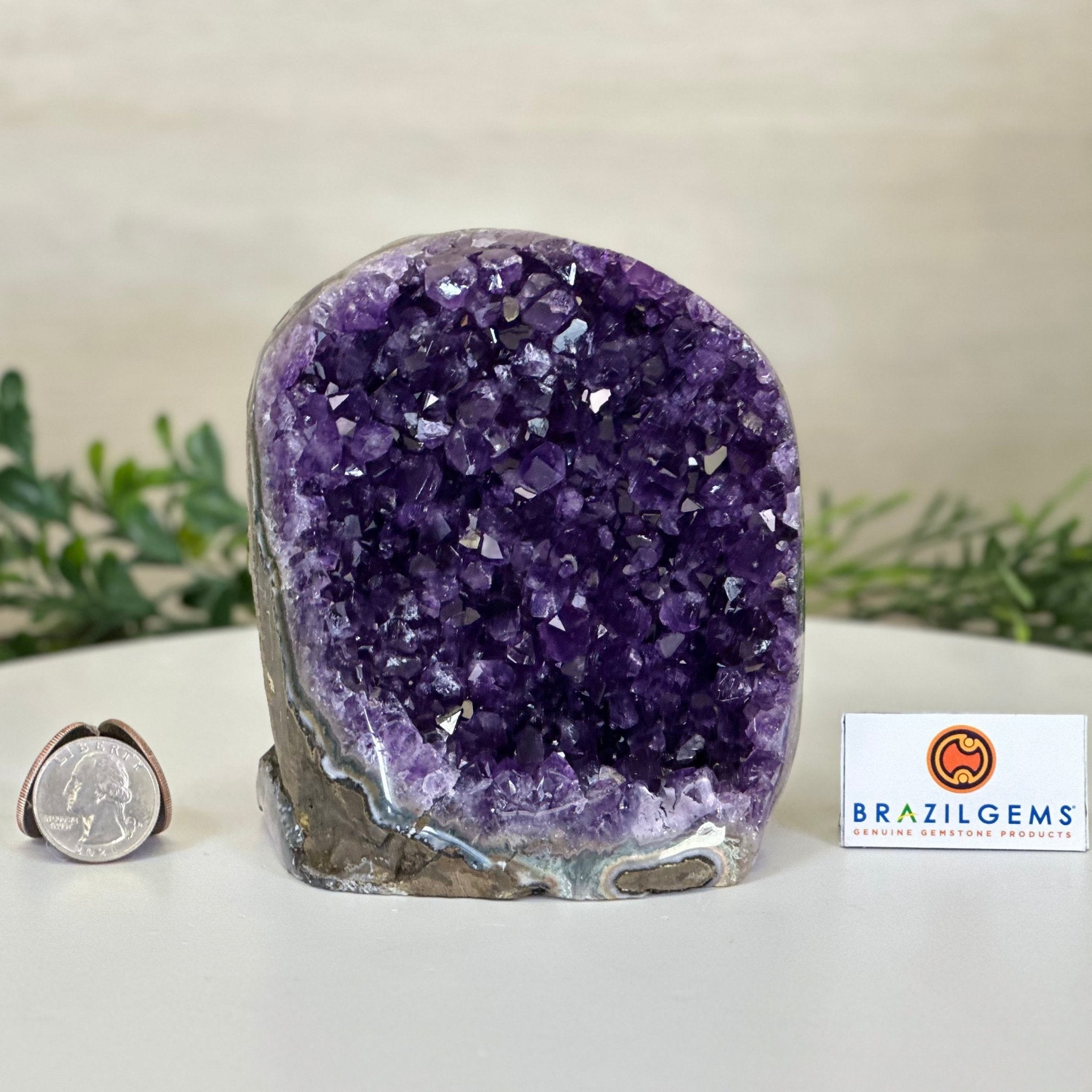 Small Extra Plus Quality Amethyst Cluster Flat Base, 4.8" Tall 5611 - 0927 - Brazil GemsBrazil GemsSmall Extra Plus Quality Amethyst Cluster Flat Base, 4.8" Tall 5611 - 0927Small Clusters with Flat Bases5611 - 0927