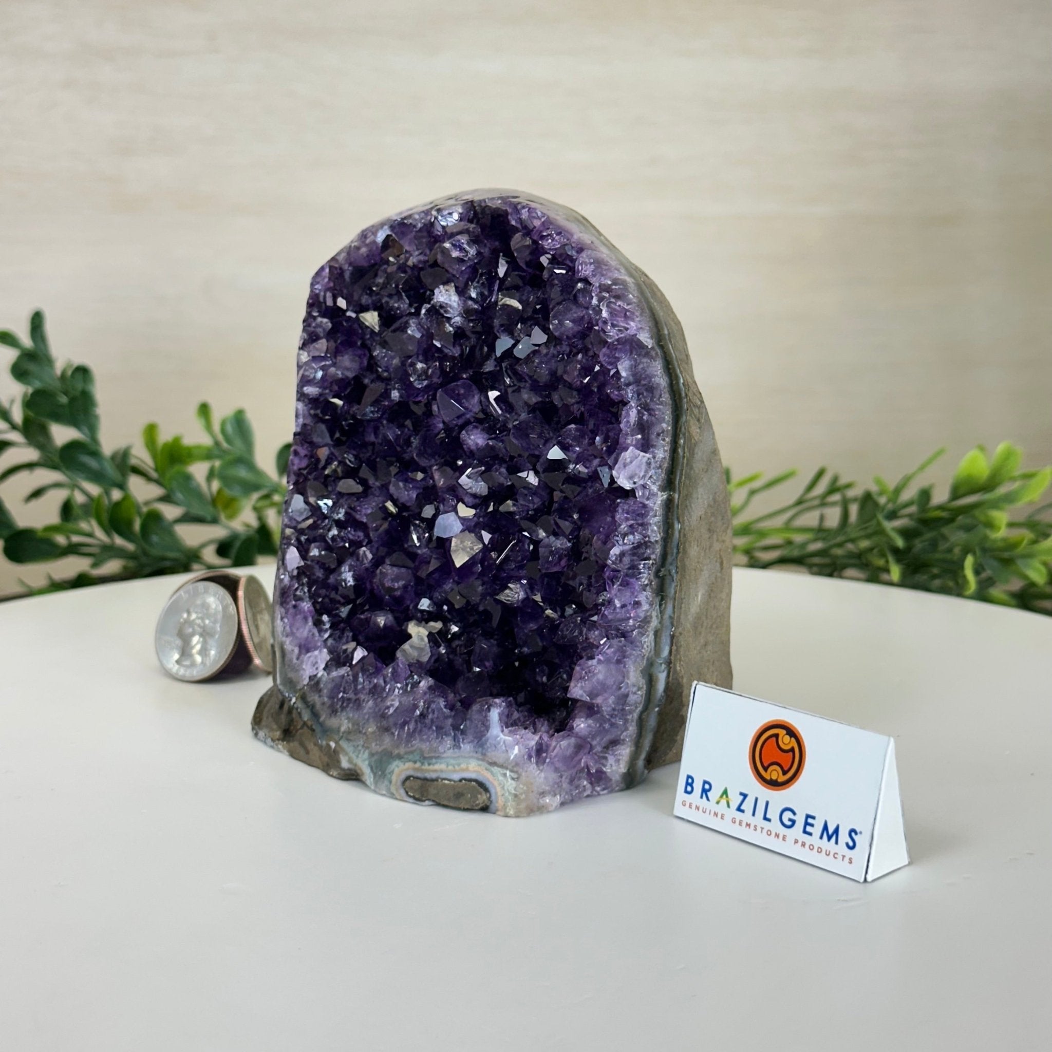 Small Extra Plus Quality Amethyst Cluster Flat Base, 4.8" Tall 5611 - 0927 - Brazil GemsBrazil GemsSmall Extra Plus Quality Amethyst Cluster Flat Base, 4.8" Tall 5611 - 0927Small Clusters with Flat Bases5611 - 0927