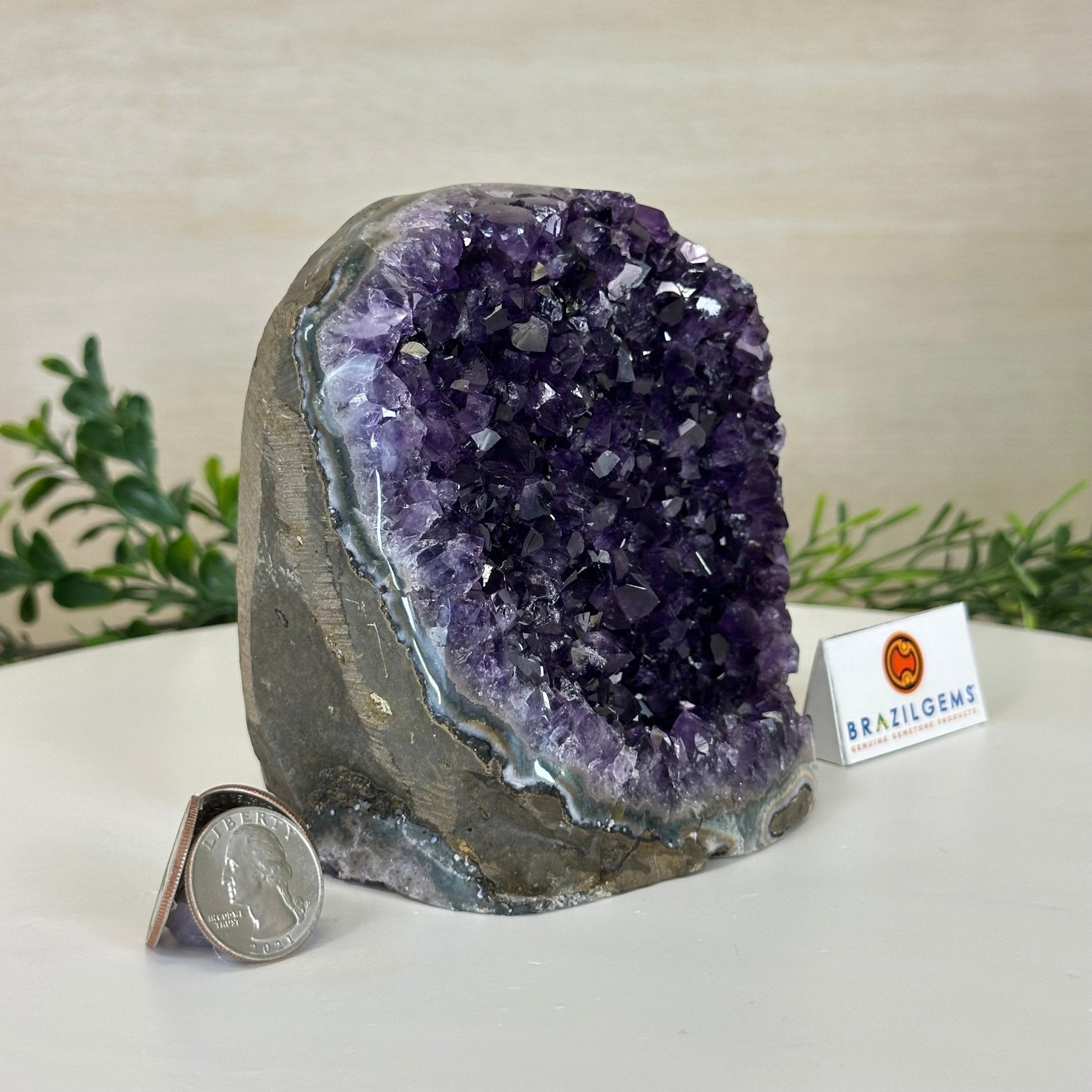Small Extra Plus Quality Amethyst Cluster Flat Base, 4.8" Tall 5611 - 0927 - Brazil GemsBrazil GemsSmall Extra Plus Quality Amethyst Cluster Flat Base, 4.8" Tall 5611 - 0927Small Clusters with Flat Bases5611 - 0927