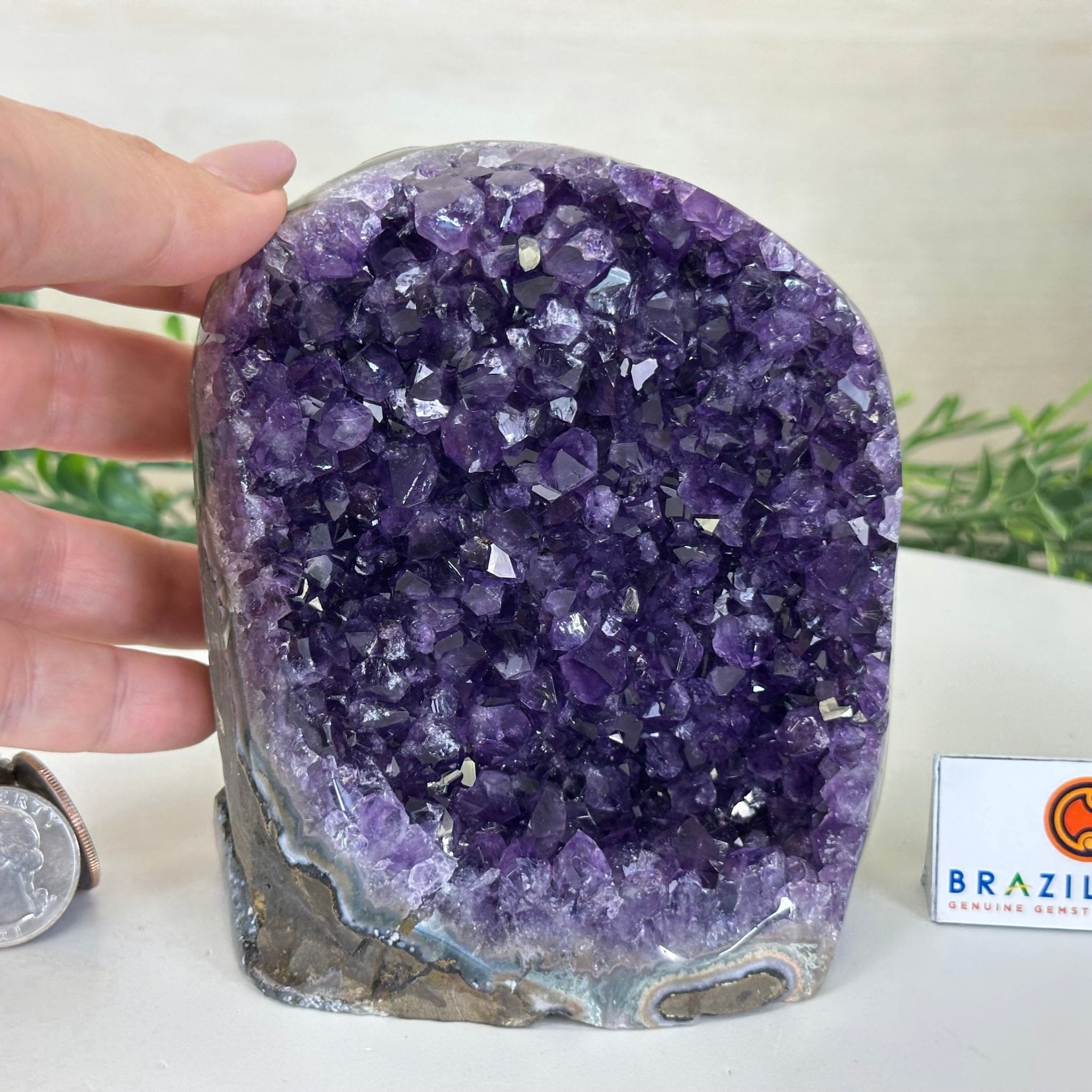Small Extra Plus Quality Amethyst Cluster Flat Base, 4.8" Tall 5611 - 0927 - Brazil GemsBrazil GemsSmall Extra Plus Quality Amethyst Cluster Flat Base, 4.8" Tall 5611 - 0927Small Clusters with Flat Bases5611 - 0927