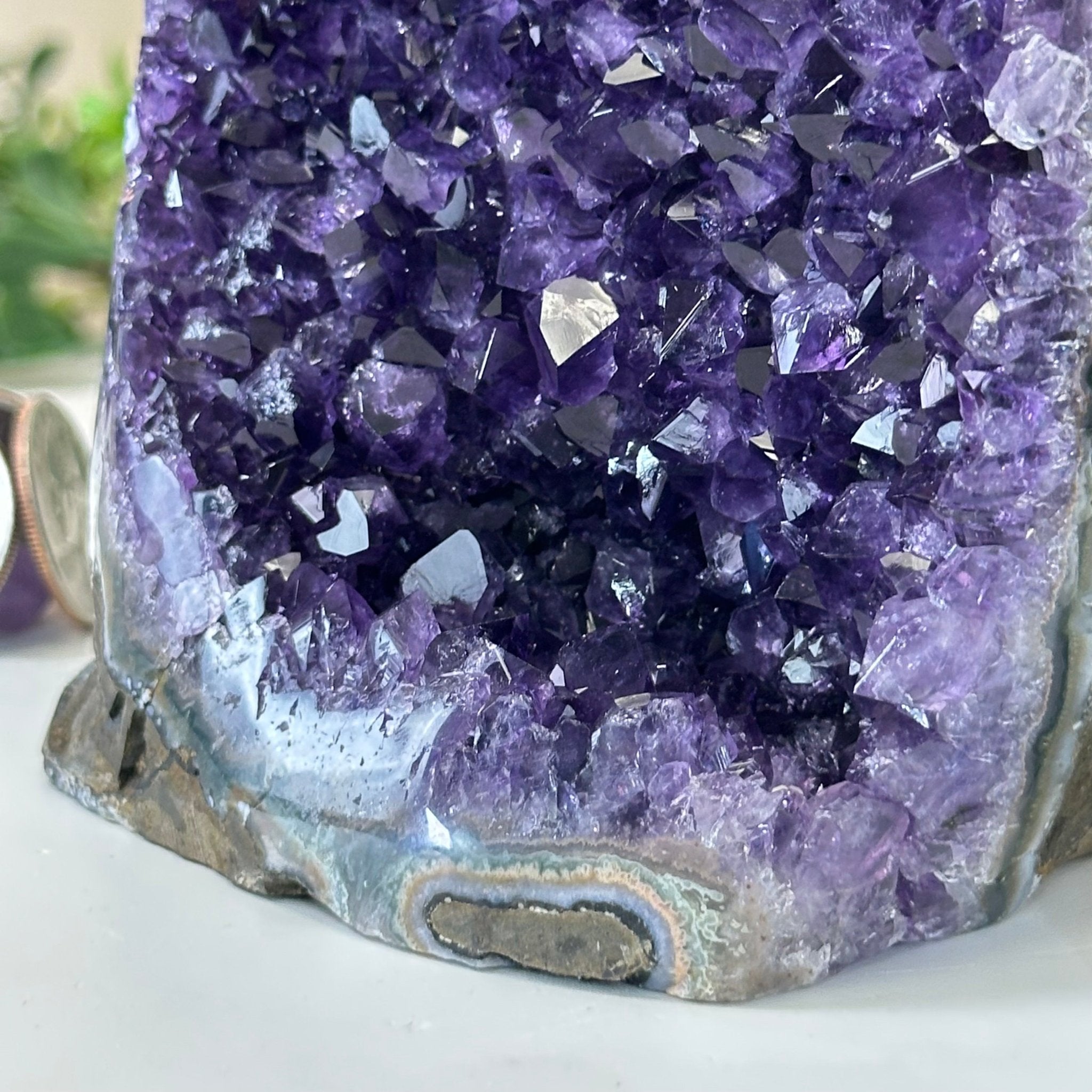Small Extra Plus Quality Amethyst Cluster Flat Base, 4.8" Tall 5611 - 0927 - Brazil GemsBrazil GemsSmall Extra Plus Quality Amethyst Cluster Flat Base, 4.8" Tall 5611 - 0927Small Clusters with Flat Bases5611 - 0927