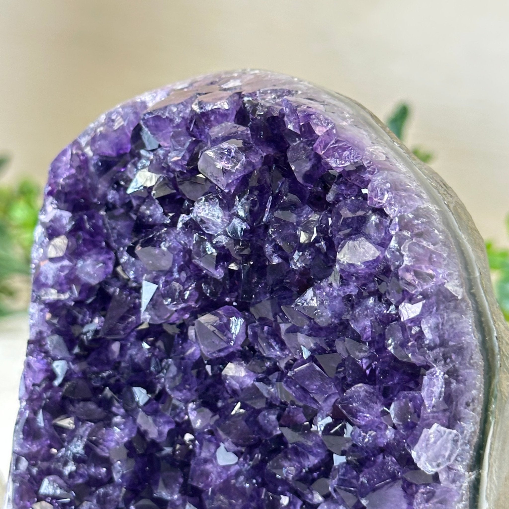 Small Extra Plus Quality Amethyst Cluster Flat Base, 4.8" Tall 5611 - 0927 - Brazil GemsBrazil GemsSmall Extra Plus Quality Amethyst Cluster Flat Base, 4.8" Tall 5611 - 0927Small Clusters with Flat Bases5611 - 0927
