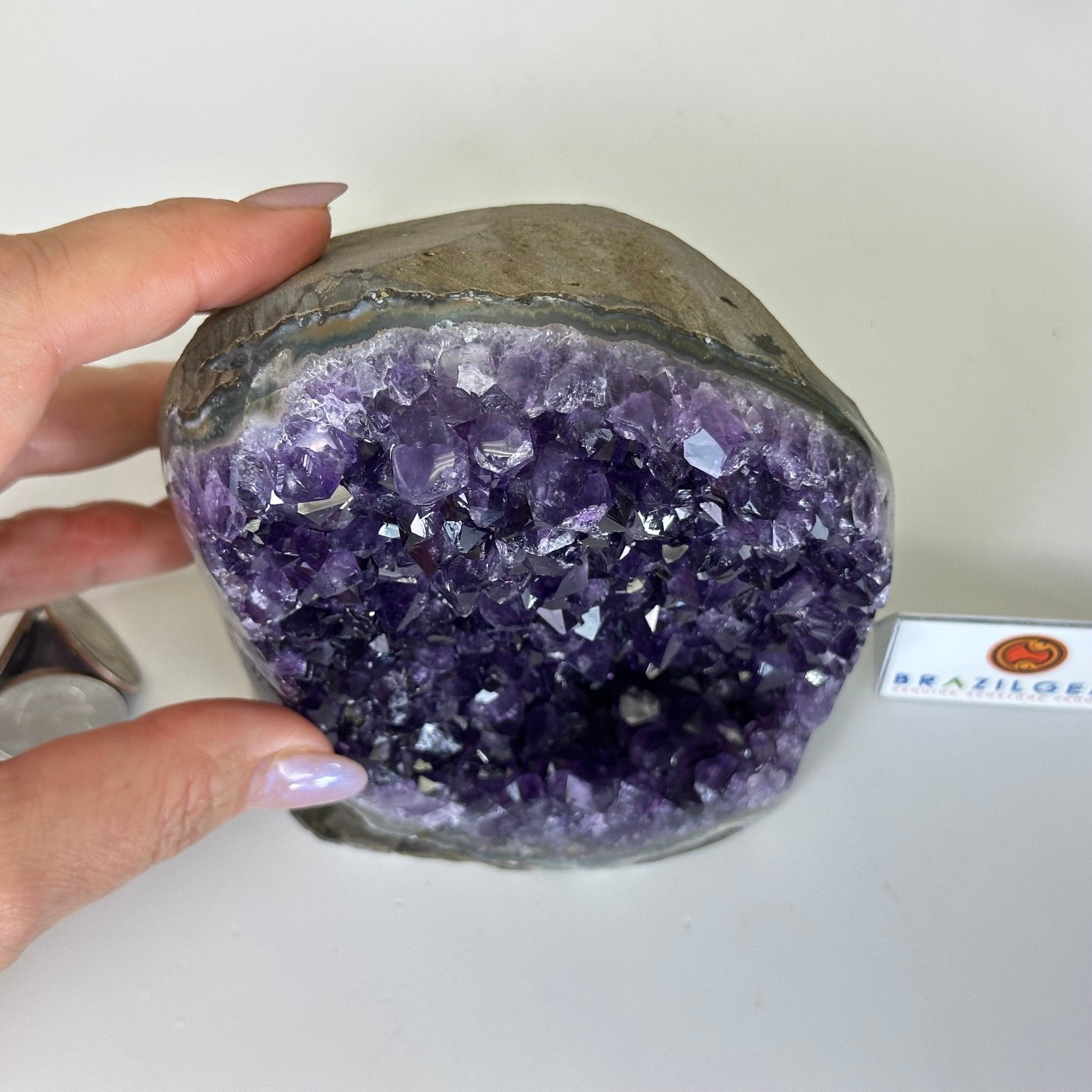 Small Extra Plus Quality Amethyst Cluster Flat Base, 4.8" Tall 5611 - 0927 - Brazil GemsBrazil GemsSmall Extra Plus Quality Amethyst Cluster Flat Base, 4.8" Tall 5611 - 0927Small Clusters with Flat Bases5611 - 0927