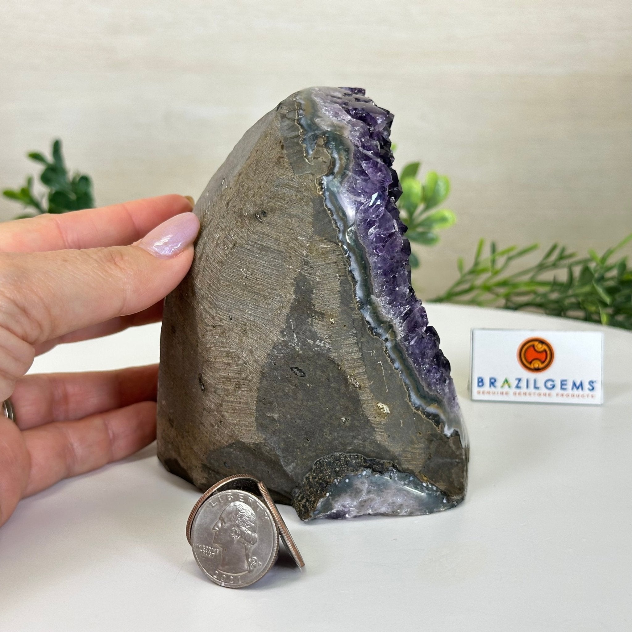 Small Extra Plus Quality Amethyst Cluster Flat Base, 4.8" Tall 5611 - 0927 - Brazil GemsBrazil GemsSmall Extra Plus Quality Amethyst Cluster Flat Base, 4.8" Tall 5611 - 0927Small Clusters with Flat Bases5611 - 0927