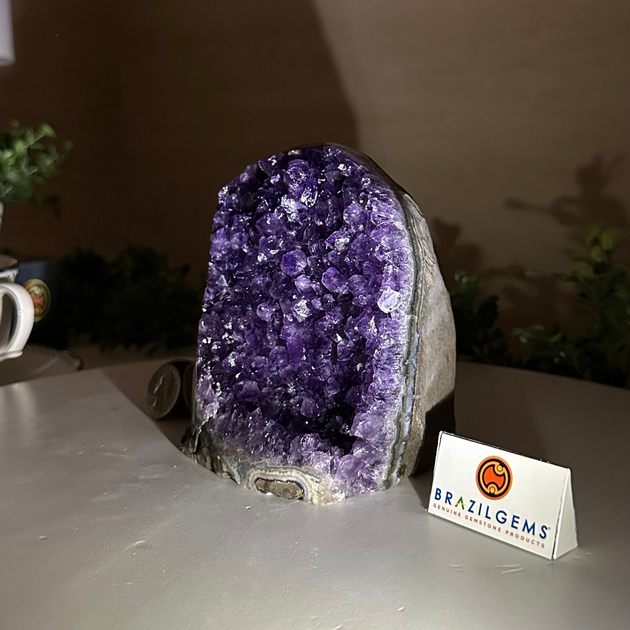 Small Extra Plus Quality Amethyst Cluster Flat Base, 4.8" Tall 5611 - 0927 - Brazil GemsBrazil GemsSmall Extra Plus Quality Amethyst Cluster Flat Base, 4.8" Tall 5611 - 0927Small Clusters with Flat Bases5611 - 0927