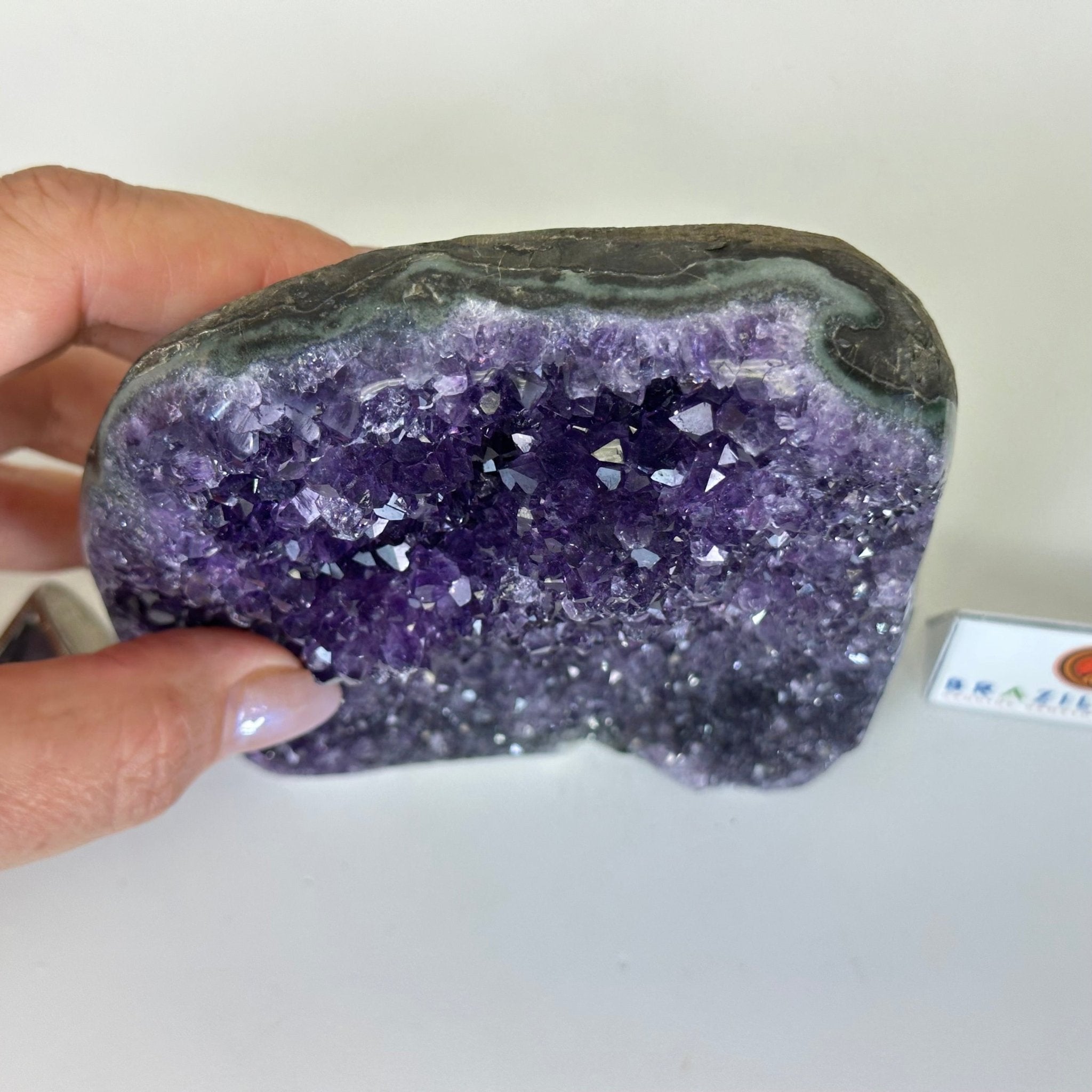 Small Extra Plus Quality Amethyst Cluster Flat Base, 5" Tall 5611 - 0921 - Brazil GemsBrazil GemsSmall Extra Plus Quality Amethyst Cluster Flat Base, 5" Tall 5611 - 0921Small Clusters with Flat Bases5611 - 0921