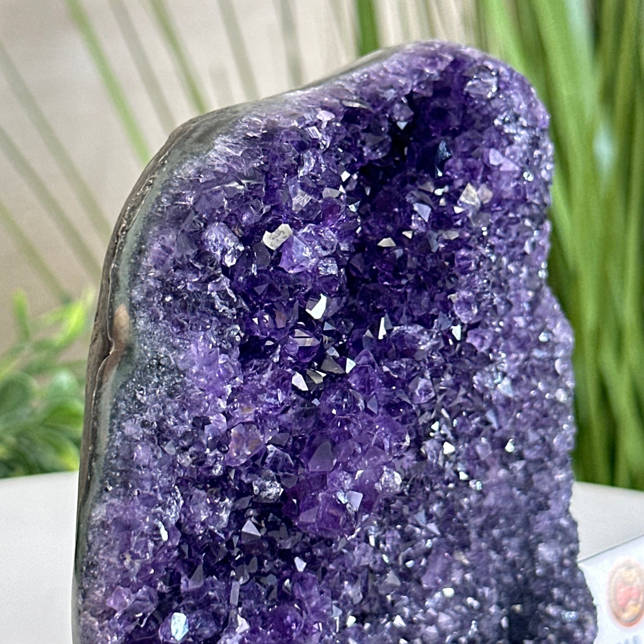 Small Extra Plus Quality Amethyst Cluster Flat Base, 5" Tall 5611 - 0921 - Brazil GemsBrazil GemsSmall Extra Plus Quality Amethyst Cluster Flat Base, 5" Tall 5611 - 0921Small Clusters with Flat Bases5611 - 0921