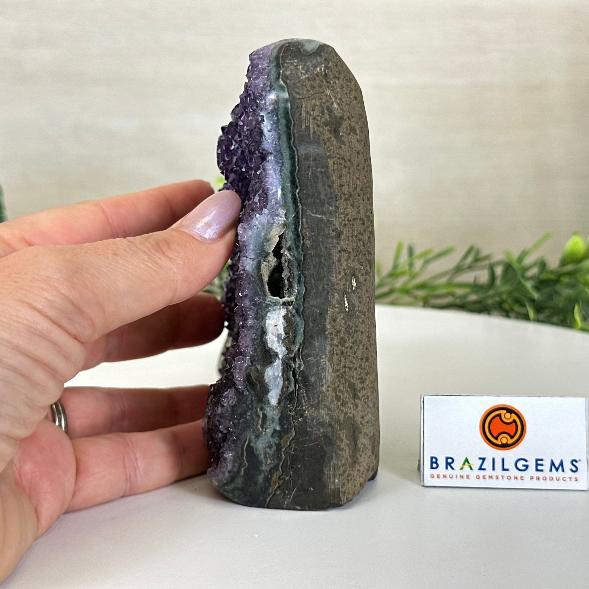 Small Extra Plus Quality Amethyst Cluster Flat Base, 5" Tall 5611 - 0921 - Brazil GemsBrazil GemsSmall Extra Plus Quality Amethyst Cluster Flat Base, 5" Tall 5611 - 0921Small Clusters with Flat Bases5611 - 0921