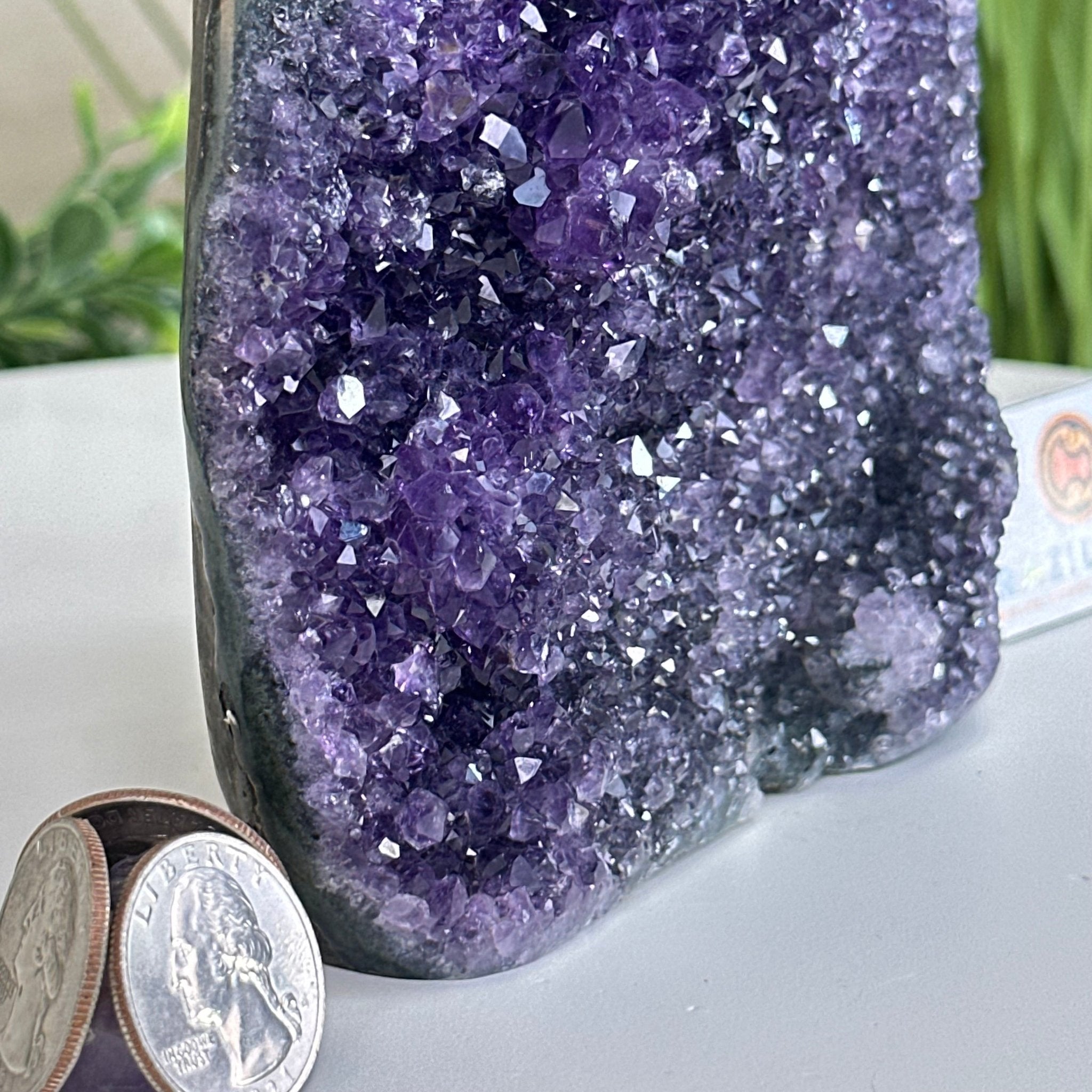 Small Extra Plus Quality Amethyst Cluster Flat Base, 5" Tall 5611 - 0921 - Brazil GemsBrazil GemsSmall Extra Plus Quality Amethyst Cluster Flat Base, 5" Tall 5611 - 0921Small Clusters with Flat Bases5611 - 0921