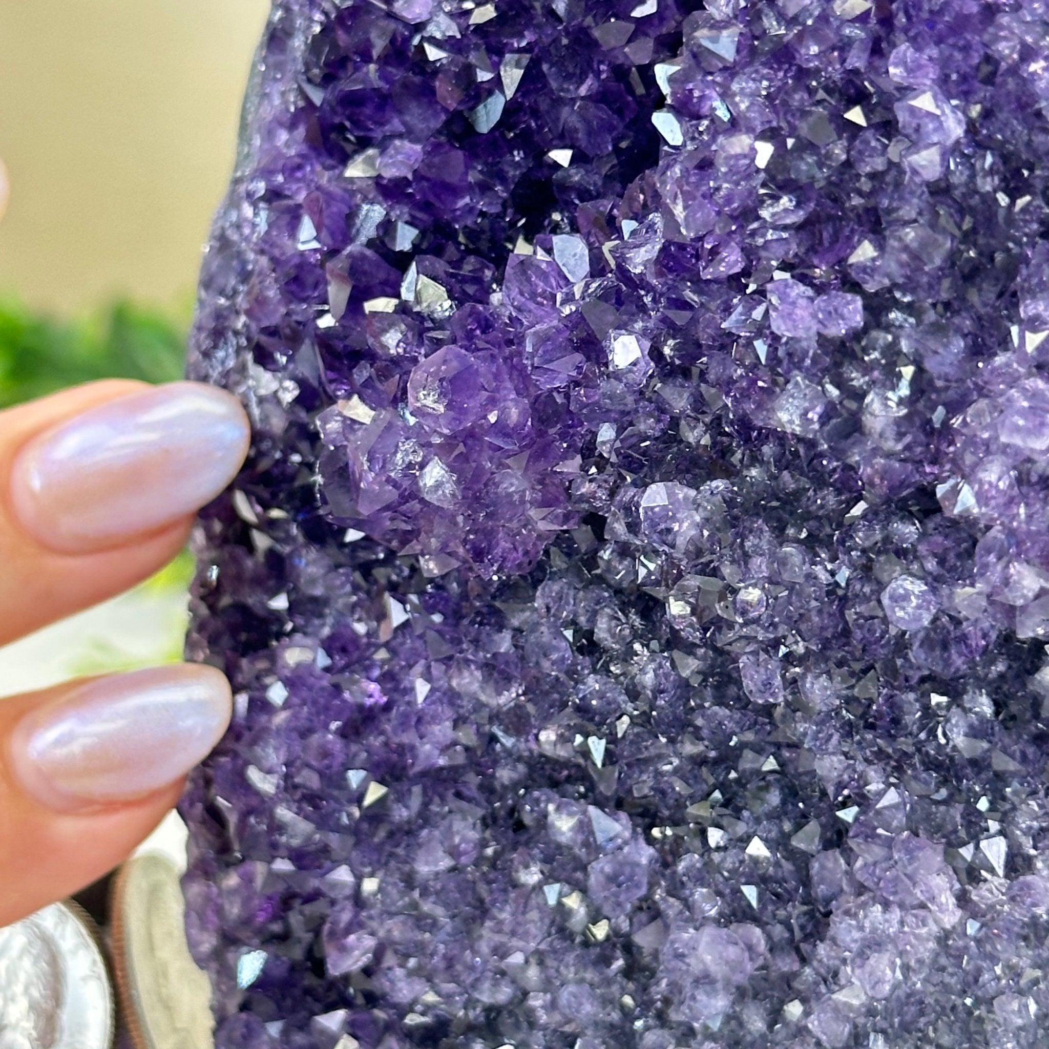 Small Extra Plus Quality Amethyst Cluster Flat Base, 5" Tall 5611 - 0921 - Brazil GemsBrazil GemsSmall Extra Plus Quality Amethyst Cluster Flat Base, 5" Tall 5611 - 0921Small Clusters with Flat Bases5611 - 0921