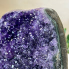 Small Extra Plus Quality Amethyst Cluster Flat Base, 5" Tall 5611 - 0921 - Brazil GemsBrazil GemsSmall Extra Plus Quality Amethyst Cluster Flat Base, 5" Tall 5611 - 0921Small Clusters with Flat Bases5611 - 0921