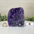 Small Extra Plus Quality Amethyst Cluster Flat Base, 5" Tall 5611 - 0921 - Brazil GemsBrazil GemsSmall Extra Plus Quality Amethyst Cluster Flat Base, 5" Tall 5611 - 0921Small Clusters with Flat Bases5611 - 0921