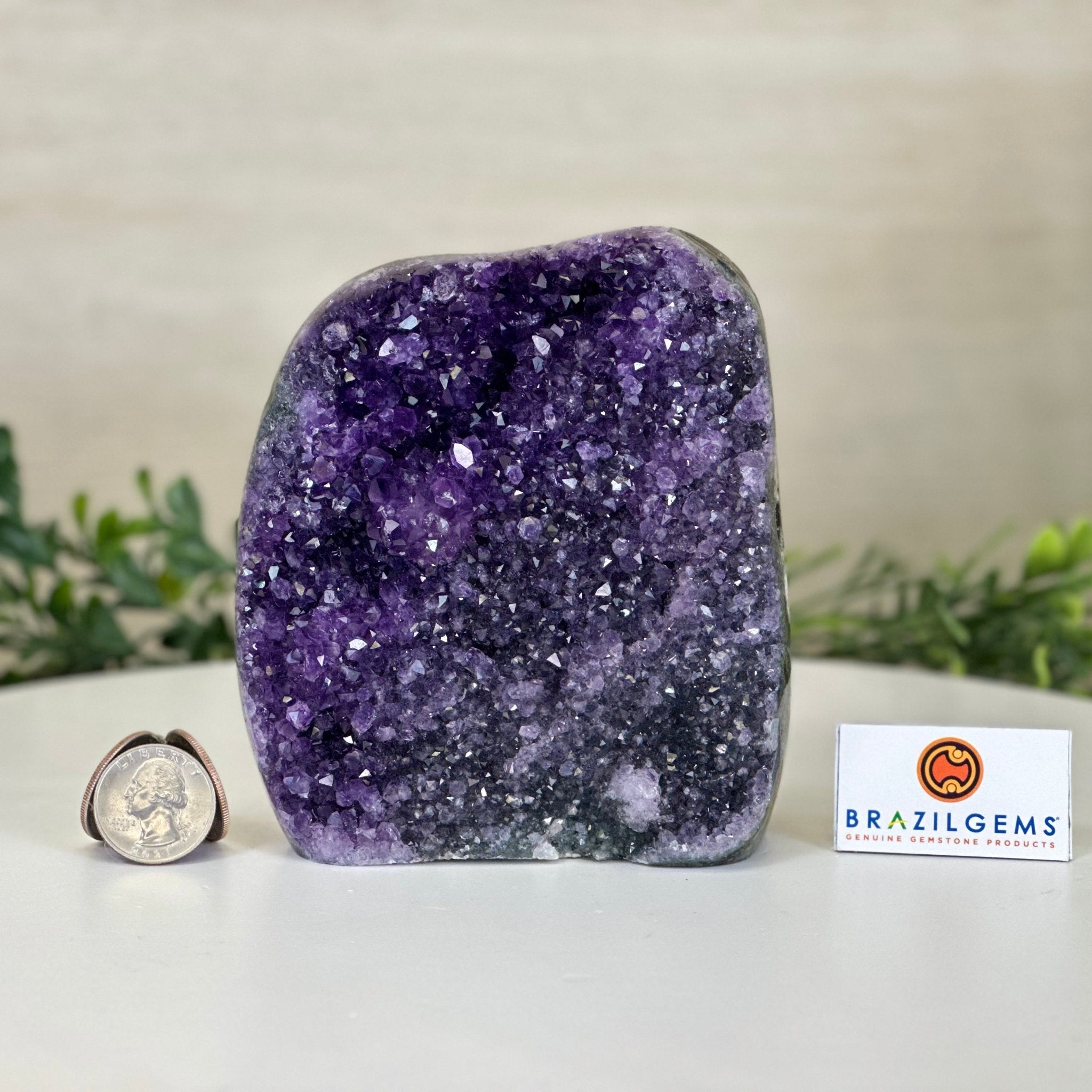 Small Extra Plus Quality Amethyst Cluster Flat Base, 5" Tall 5611 - 0921 - Brazil GemsBrazil GemsSmall Extra Plus Quality Amethyst Cluster Flat Base, 5" Tall 5611 - 0921Small Clusters with Flat Bases5611 - 0921