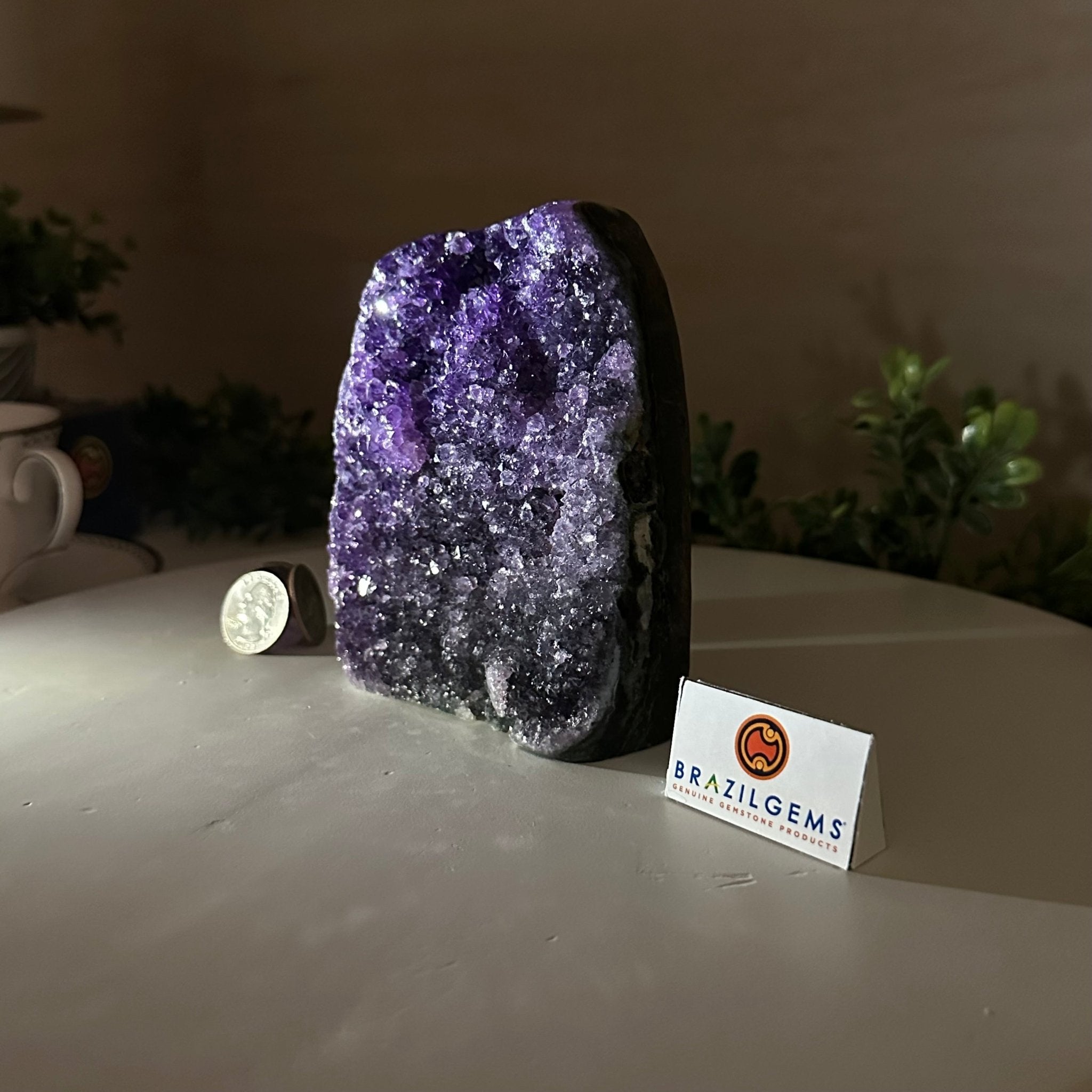 Small Extra Plus Quality Amethyst Cluster Flat Base, 5" Tall 5611 - 0921 - Brazil GemsBrazil GemsSmall Extra Plus Quality Amethyst Cluster Flat Base, 5" Tall 5611 - 0921Small Clusters with Flat Bases5611 - 0921