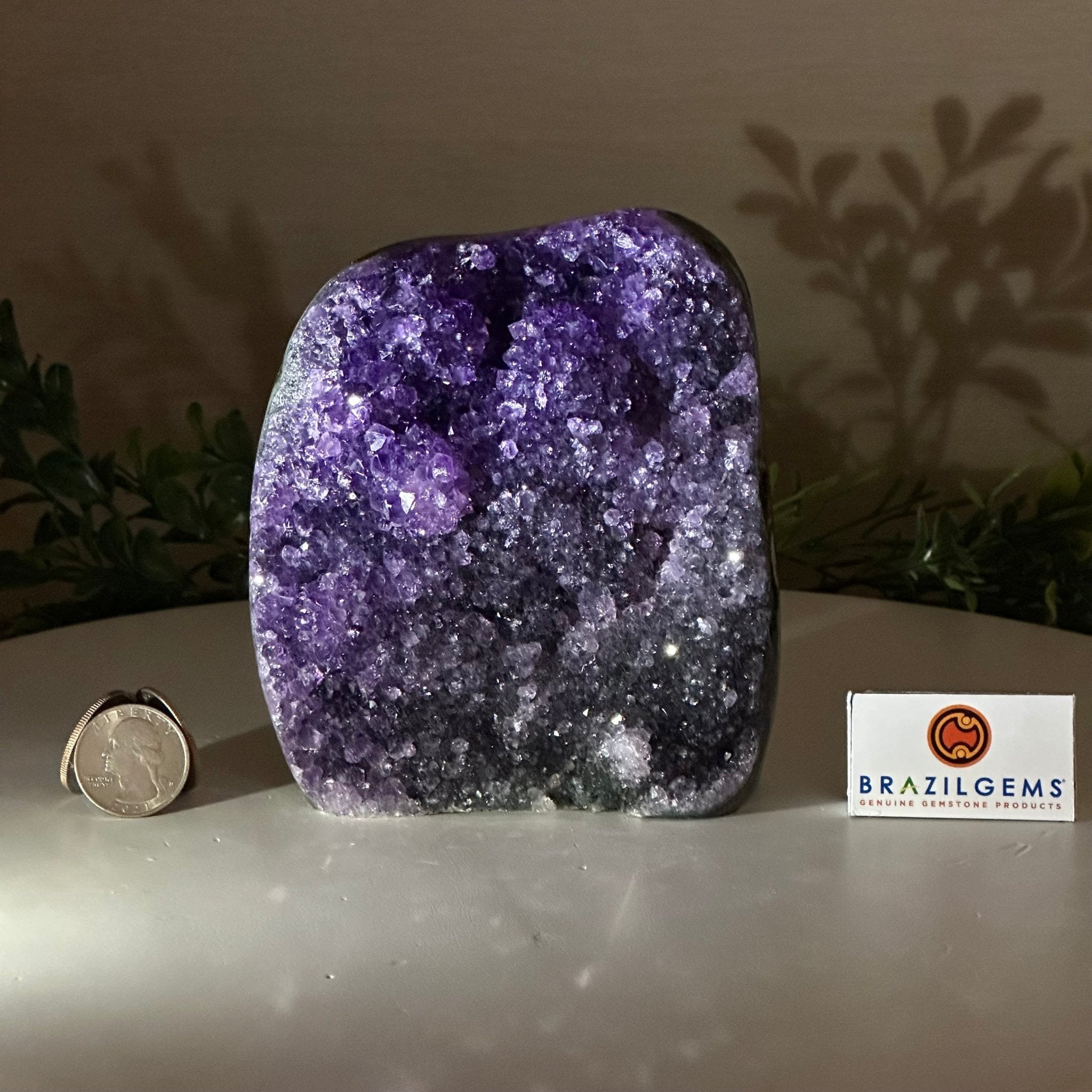 Small Extra Plus Quality Amethyst Cluster Flat Base, 5" Tall 5611 - 0921 - Brazil GemsBrazil GemsSmall Extra Plus Quality Amethyst Cluster Flat Base, 5" Tall 5611 - 0921Small Clusters with Flat Bases5611 - 0921