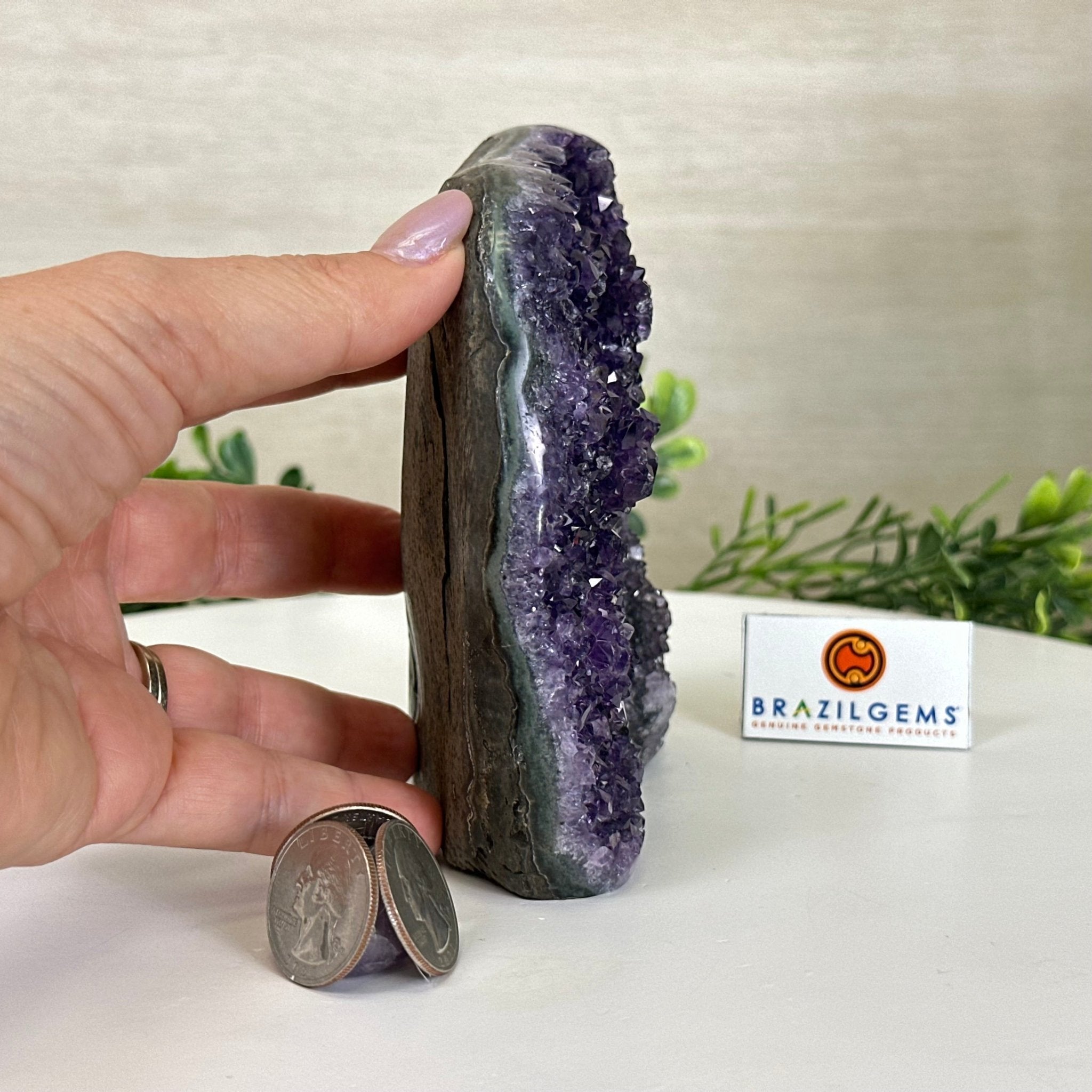Small Extra Plus Quality Amethyst Cluster Flat Base, 5" Tall 5611 - 0921 - Brazil GemsBrazil GemsSmall Extra Plus Quality Amethyst Cluster Flat Base, 5" Tall 5611 - 0921Small Clusters with Flat Bases5611 - 0921