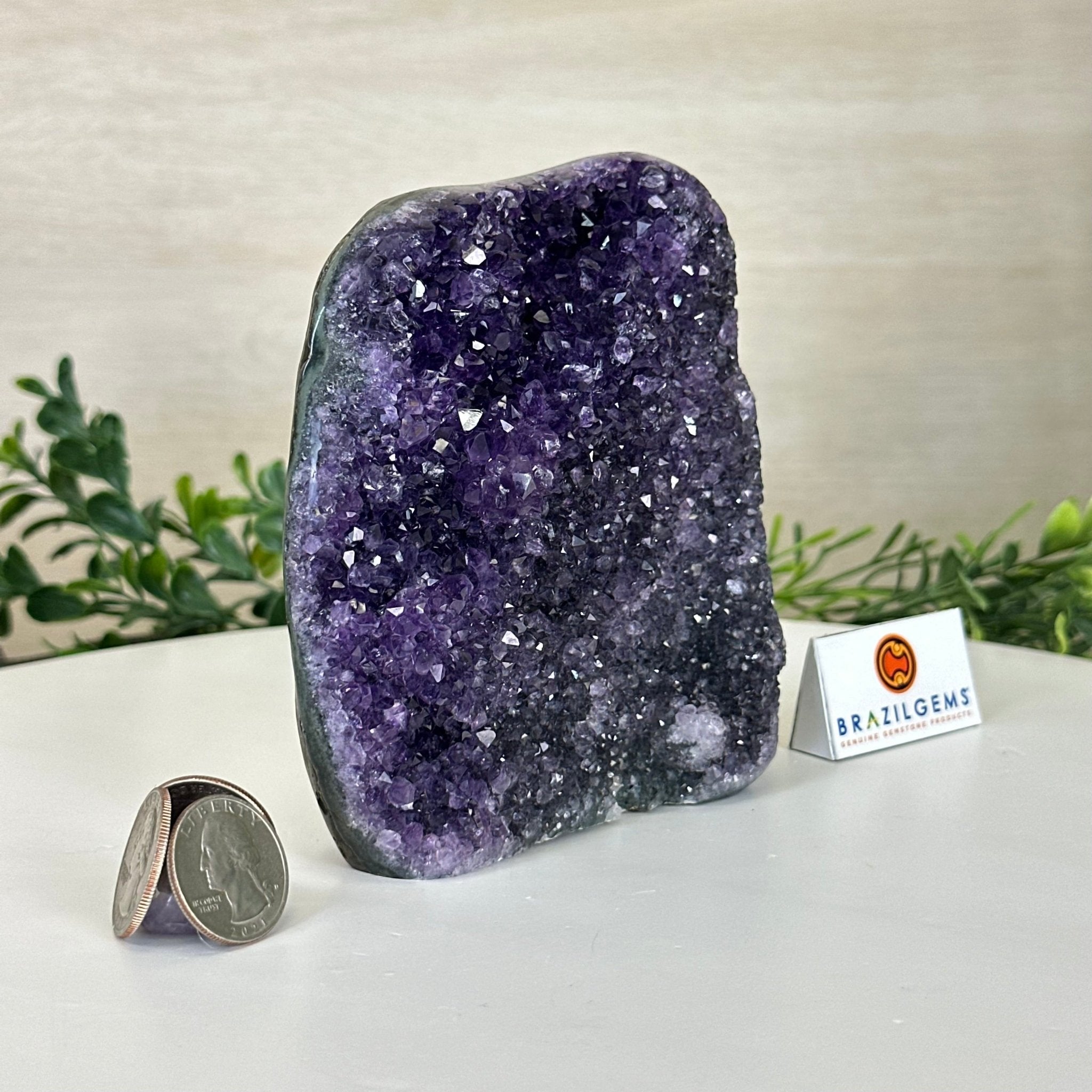 Small Extra Plus Quality Amethyst Cluster Flat Base, 5" Tall 5611 - 0921 - Brazil GemsBrazil GemsSmall Extra Plus Quality Amethyst Cluster Flat Base, 5" Tall 5611 - 0921Small Clusters with Flat Bases5611 - 0921