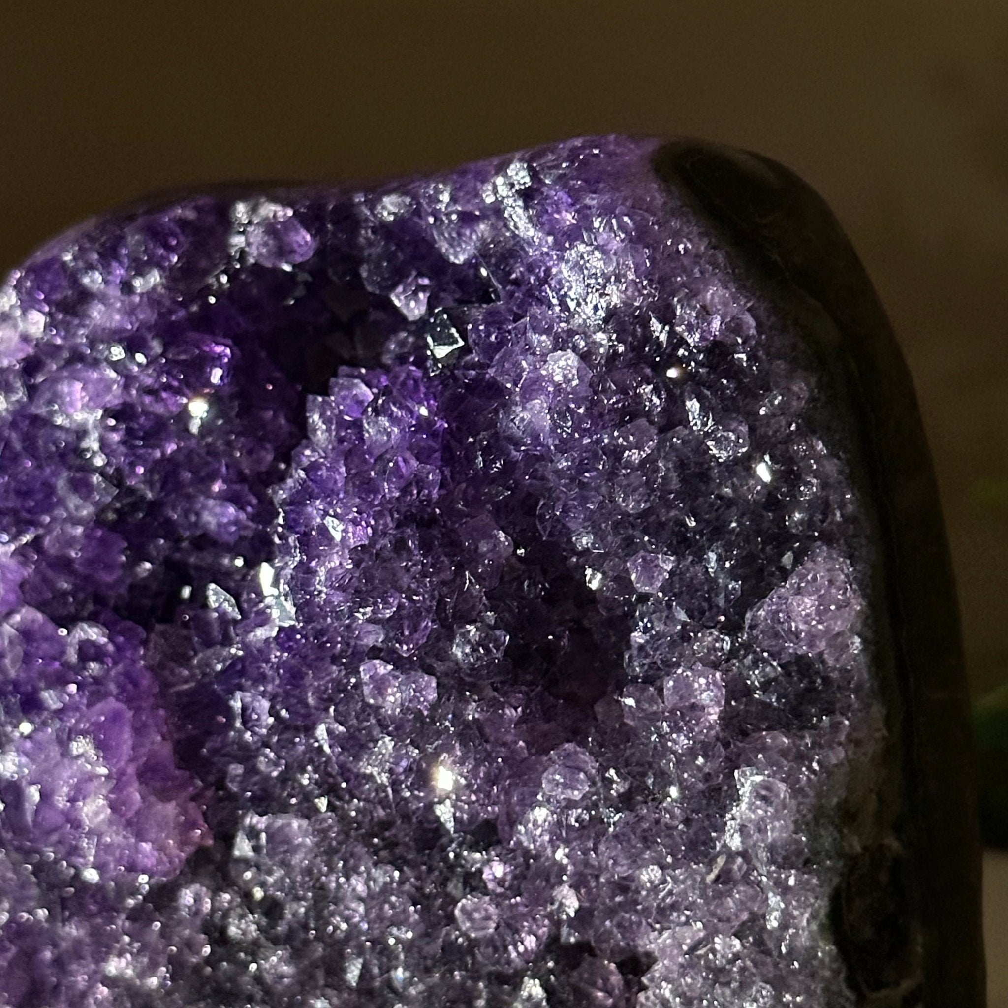 Small Extra Plus Quality Amethyst Cluster Flat Base, 5" Tall 5611 - 0921 - Brazil GemsBrazil GemsSmall Extra Plus Quality Amethyst Cluster Flat Base, 5" Tall 5611 - 0921Small Clusters with Flat Bases5611 - 0921