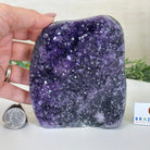 Small Extra Plus Quality Amethyst Cluster Flat Base, 5" Tall 5611 - 0921 - Brazil GemsBrazil GemsSmall Extra Plus Quality Amethyst Cluster Flat Base, 5" Tall 5611 - 0921Small Clusters with Flat Bases5611 - 0921