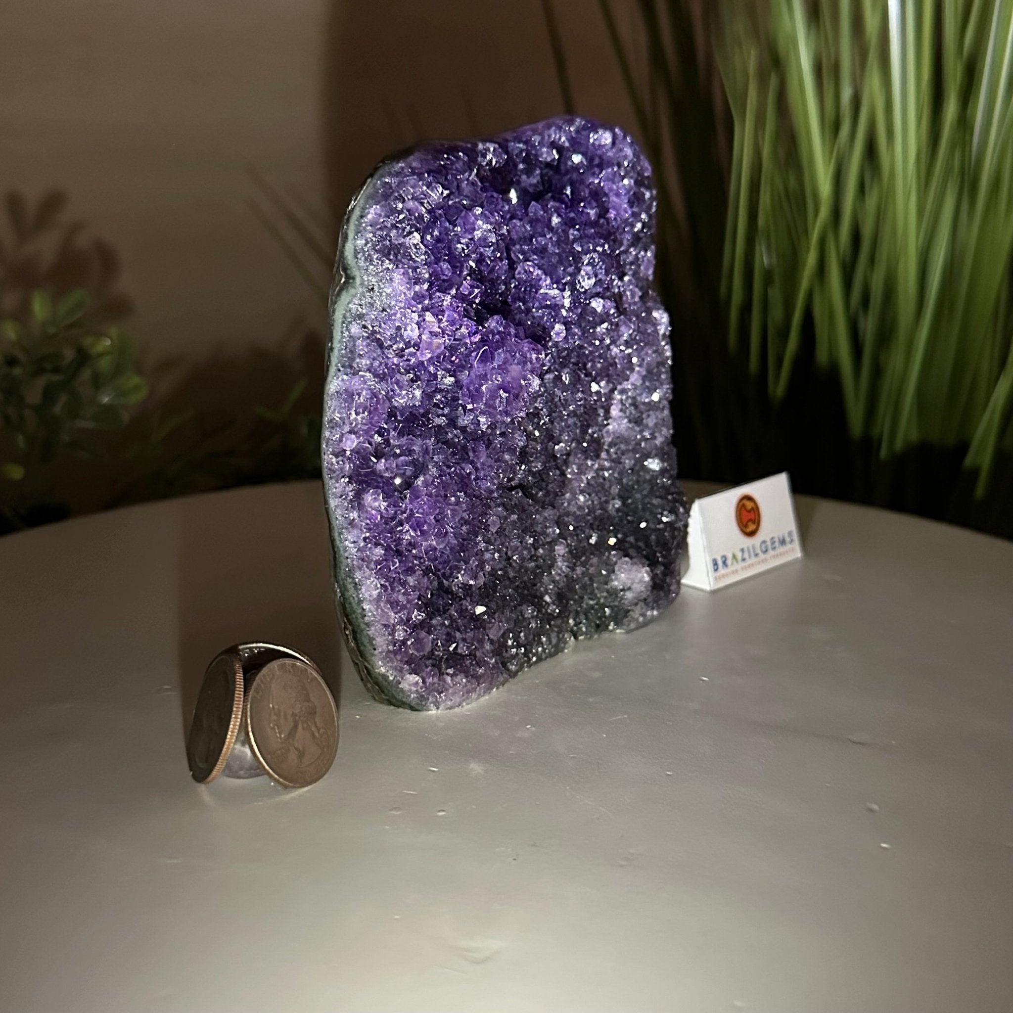 Small Extra Plus Quality Amethyst Cluster Flat Base, 5" Tall 5611 - 0921 - Brazil GemsBrazil GemsSmall Extra Plus Quality Amethyst Cluster Flat Base, 5" Tall 5611 - 0921Small Clusters with Flat Bases5611 - 0921
