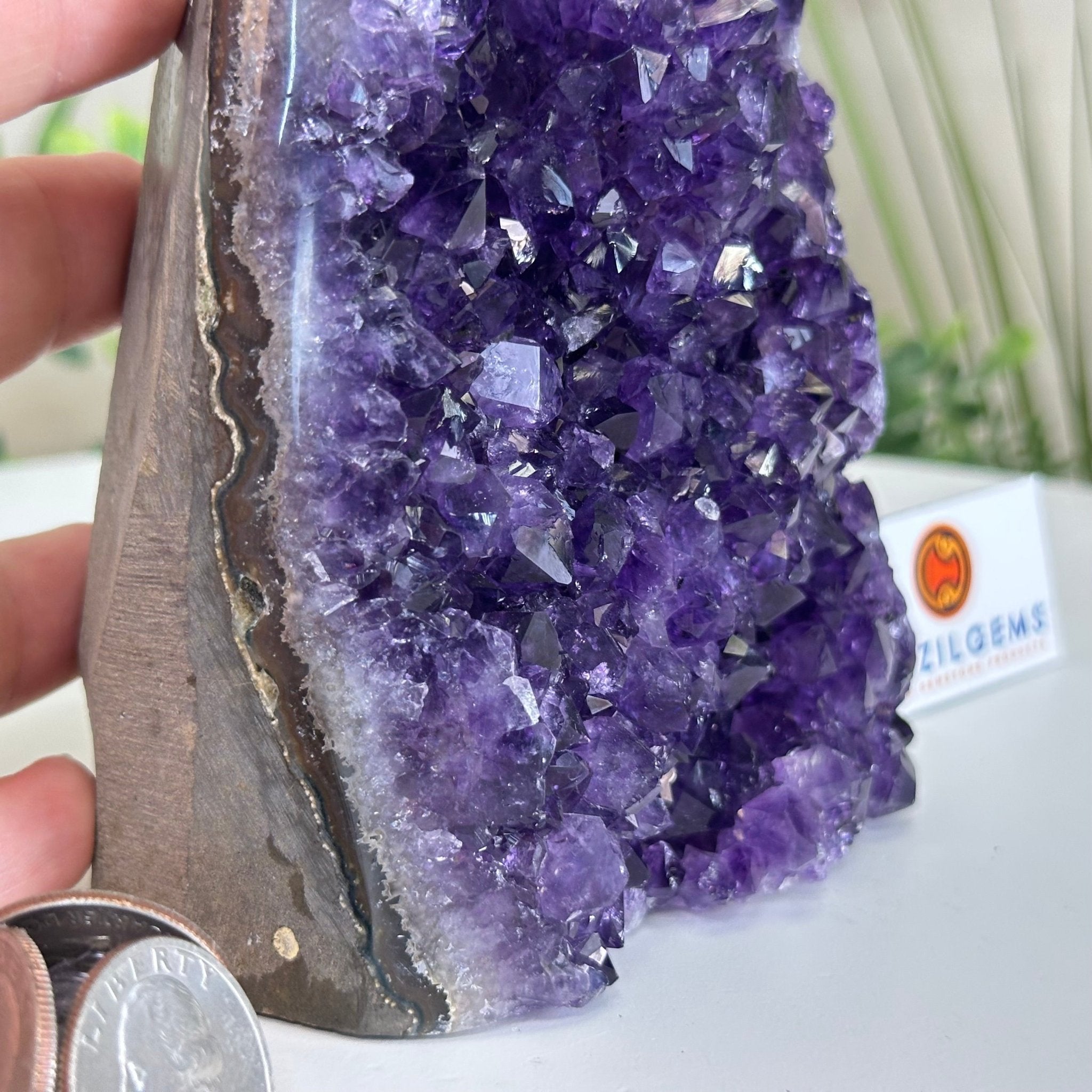 Small Extra Plus Quality Amethyst Cluster Flat Base, 5.4" Tall 5611 - 0923 - Brazil GemsBrazil GemsSmall Extra Plus Quality Amethyst Cluster Flat Base, 5.4" Tall 5611 - 0923Small Clusters with Flat Bases5611 - 0923