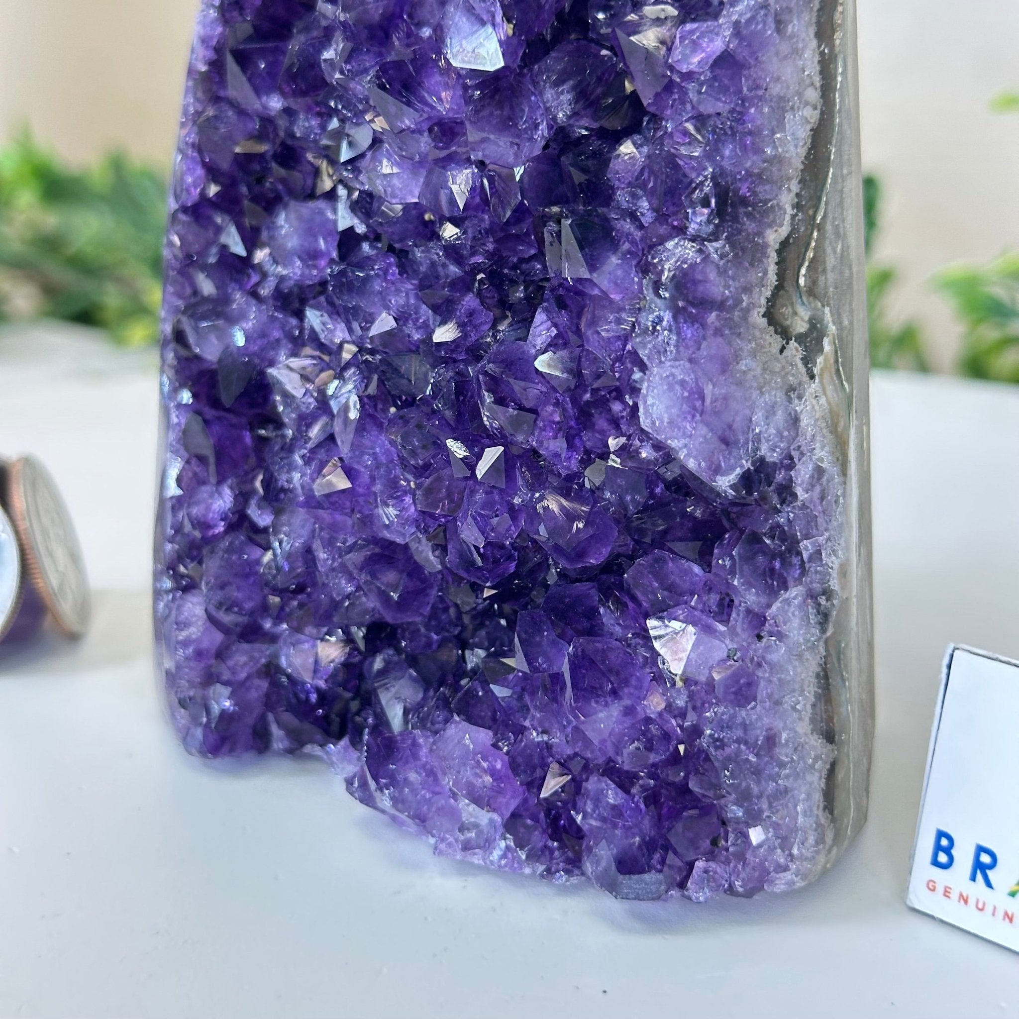 Small Extra Plus Quality Amethyst Cluster Flat Base, 5.4" Tall 5611 - 0923 - Brazil GemsBrazil GemsSmall Extra Plus Quality Amethyst Cluster Flat Base, 5.4" Tall 5611 - 0923Small Clusters with Flat Bases5611 - 0923