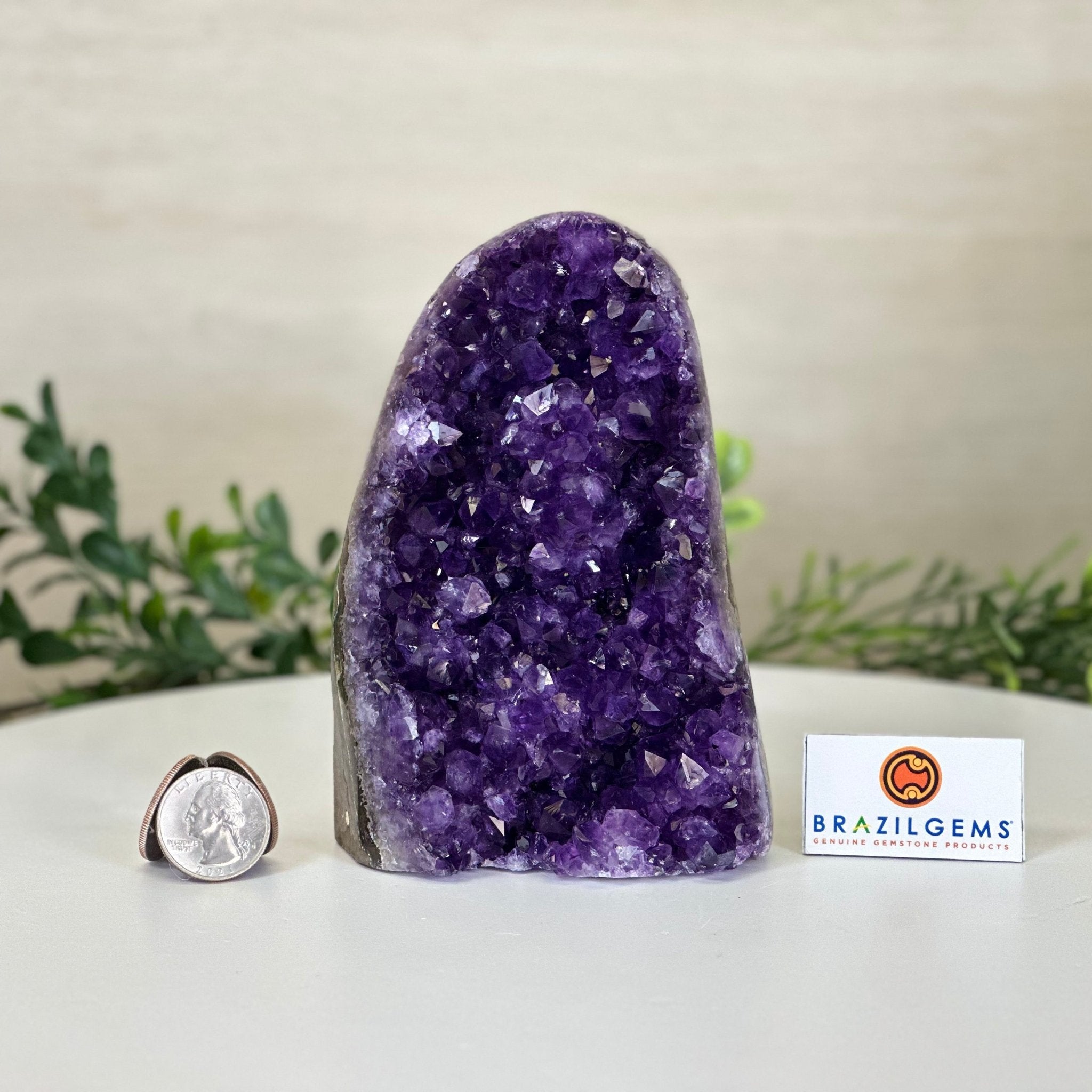 Small Extra Plus Quality Amethyst Cluster Flat Base, 5.4" Tall 5611 - 0923 - Brazil GemsBrazil GemsSmall Extra Plus Quality Amethyst Cluster Flat Base, 5.4" Tall 5611 - 0923Small Clusters with Flat Bases5611 - 0923