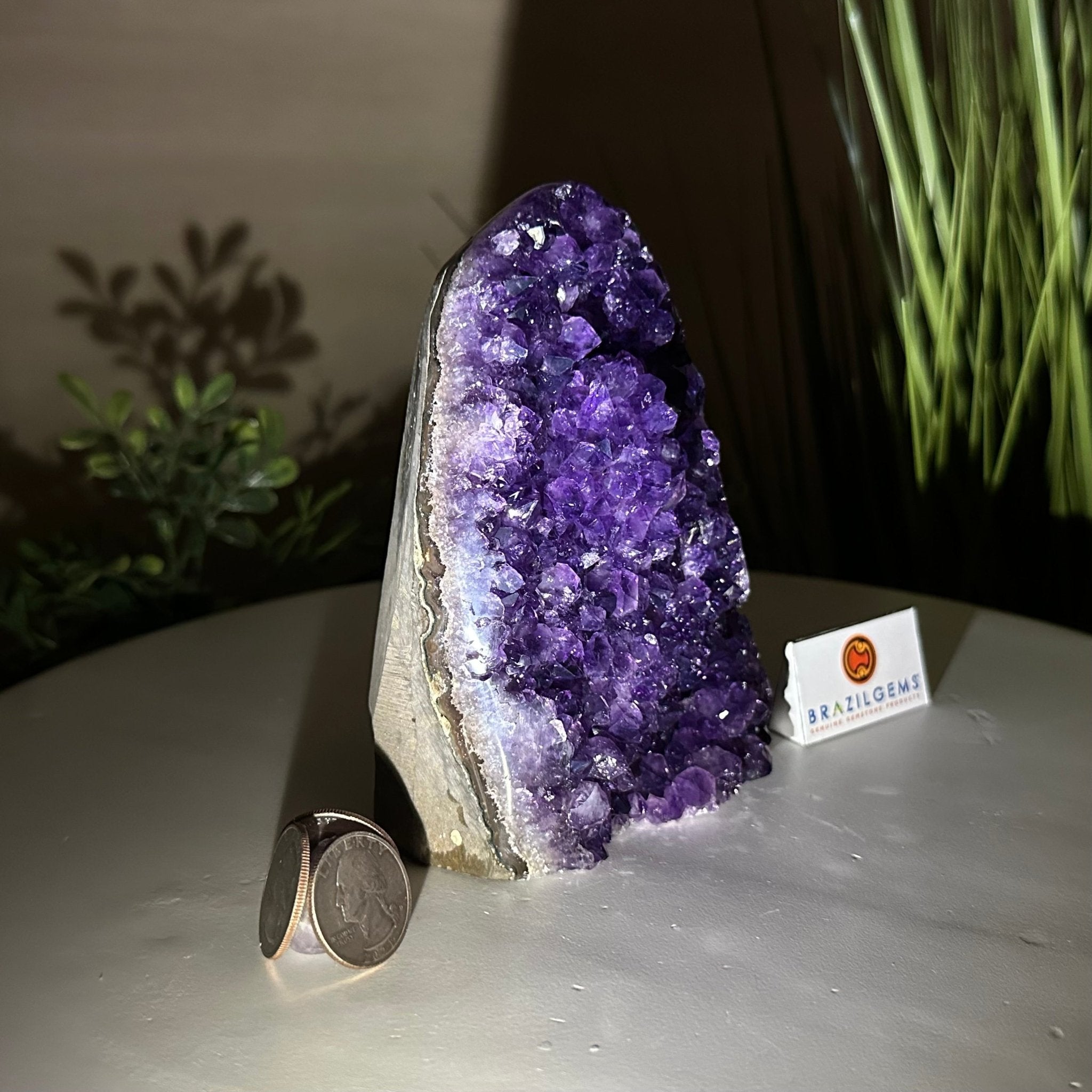 Small Extra Plus Quality Amethyst Cluster Flat Base, 5.4" Tall 5611 - 0923 - Brazil GemsBrazil GemsSmall Extra Plus Quality Amethyst Cluster Flat Base, 5.4" Tall 5611 - 0923Small Clusters with Flat Bases5611 - 0923