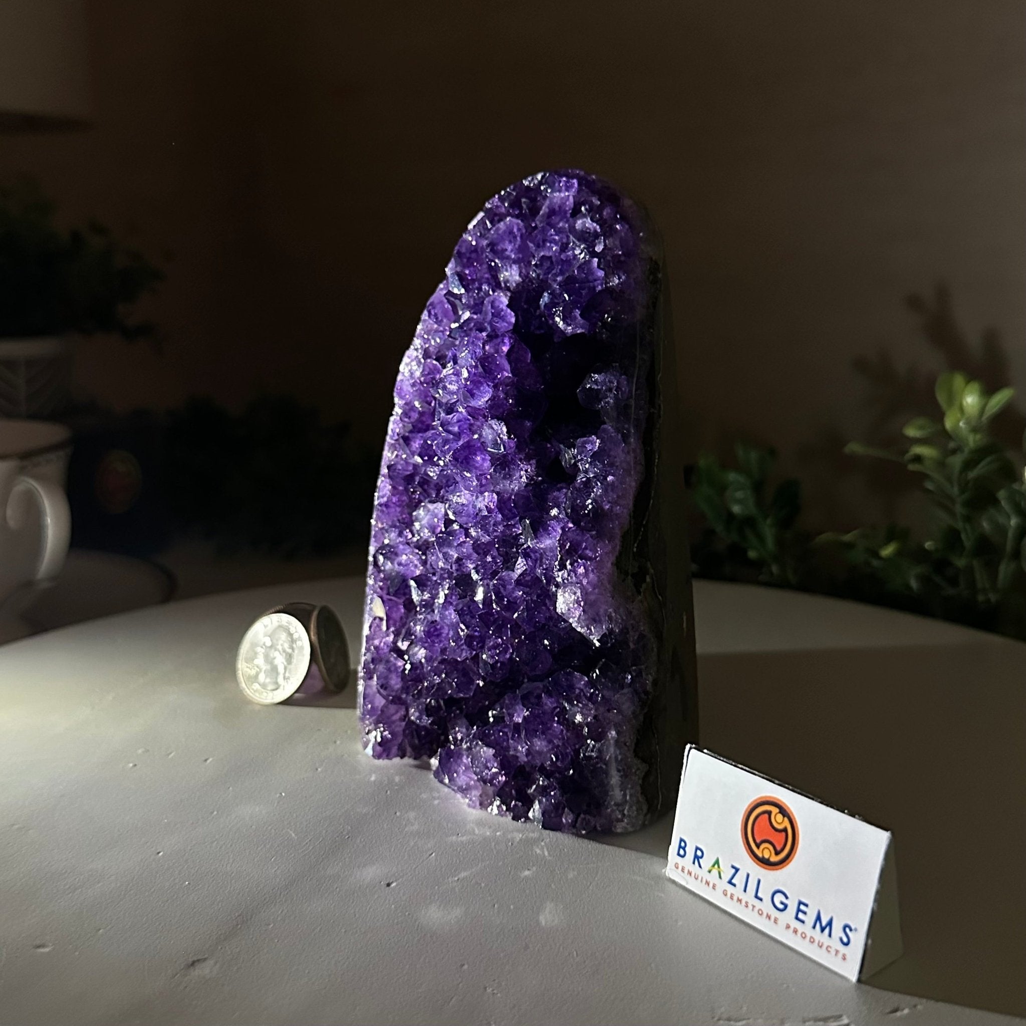 Small Extra Plus Quality Amethyst Cluster Flat Base, 5.4" Tall 5611 - 0923 - Brazil GemsBrazil GemsSmall Extra Plus Quality Amethyst Cluster Flat Base, 5.4" Tall 5611 - 0923Small Clusters with Flat Bases5611 - 0923