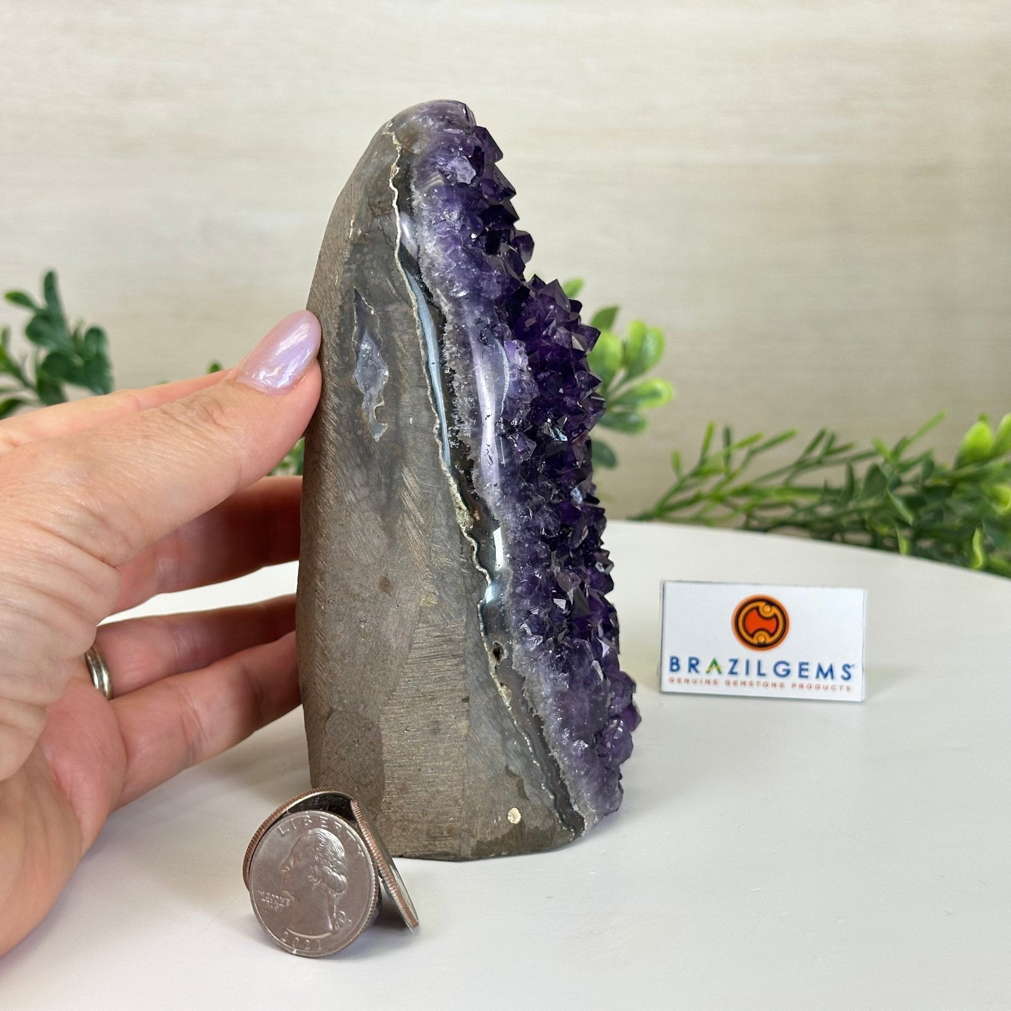 Small Extra Plus Quality Amethyst Cluster Flat Base, 5.4" Tall 5611 - 0923 - Brazil GemsBrazil GemsSmall Extra Plus Quality Amethyst Cluster Flat Base, 5.4" Tall 5611 - 0923Small Clusters with Flat Bases5611 - 0923