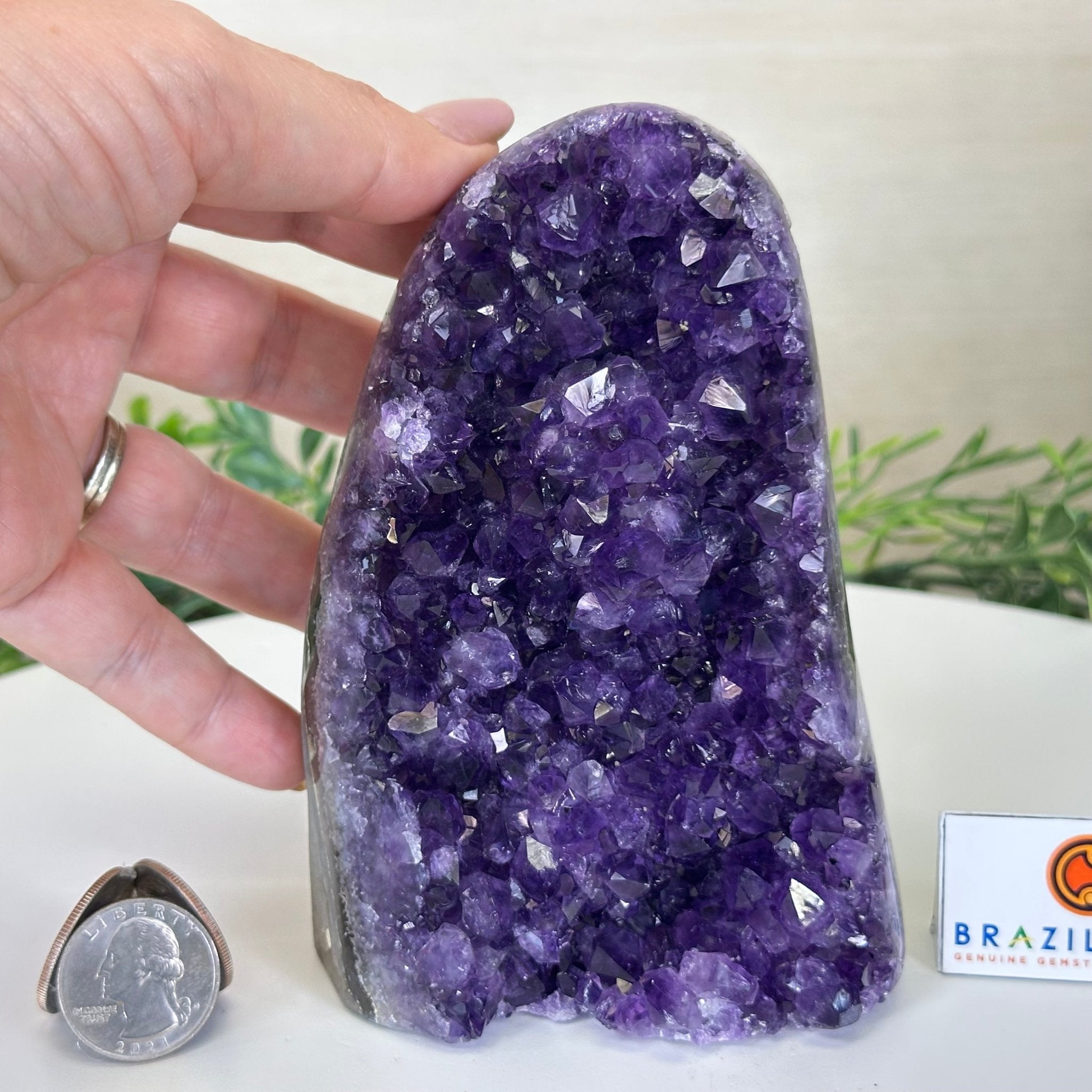 Small Extra Plus Quality Amethyst Cluster Flat Base, 5.4" Tall 5611 - 0923 - Brazil GemsBrazil GemsSmall Extra Plus Quality Amethyst Cluster Flat Base, 5.4" Tall 5611 - 0923Small Clusters with Flat Bases5611 - 0923