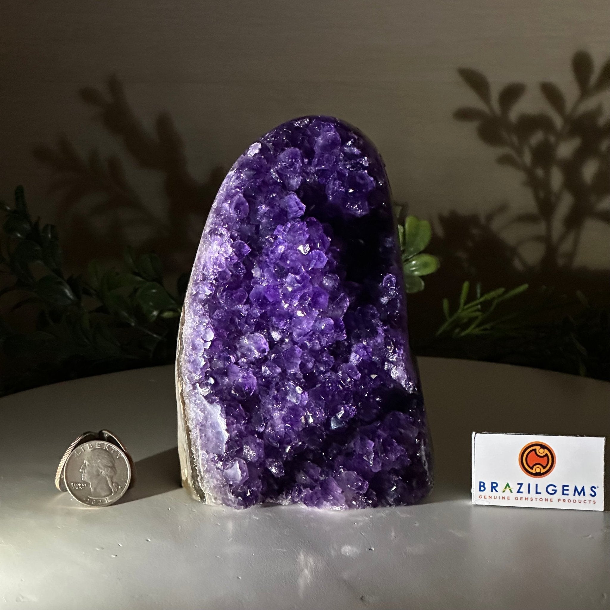 Small Extra Plus Quality Amethyst Cluster Flat Base, 5.4" Tall 5611 - 0923 - Brazil GemsBrazil GemsSmall Extra Plus Quality Amethyst Cluster Flat Base, 5.4" Tall 5611 - 0923Small Clusters with Flat Bases5611 - 0923