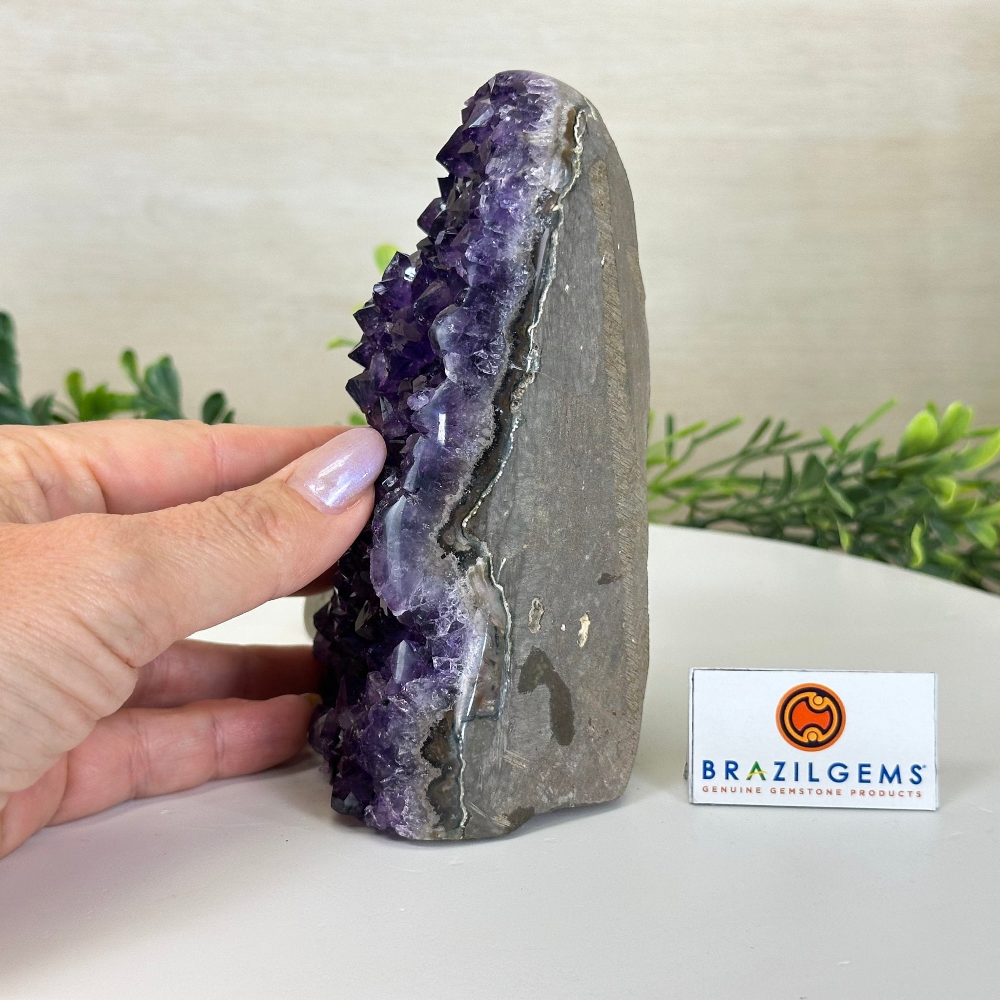 Small Extra Plus Quality Amethyst Cluster Flat Base, 5.4" Tall 5611 - 0923 - Brazil GemsBrazil GemsSmall Extra Plus Quality Amethyst Cluster Flat Base, 5.4" Tall 5611 - 0923Small Clusters with Flat Bases5611 - 0923
