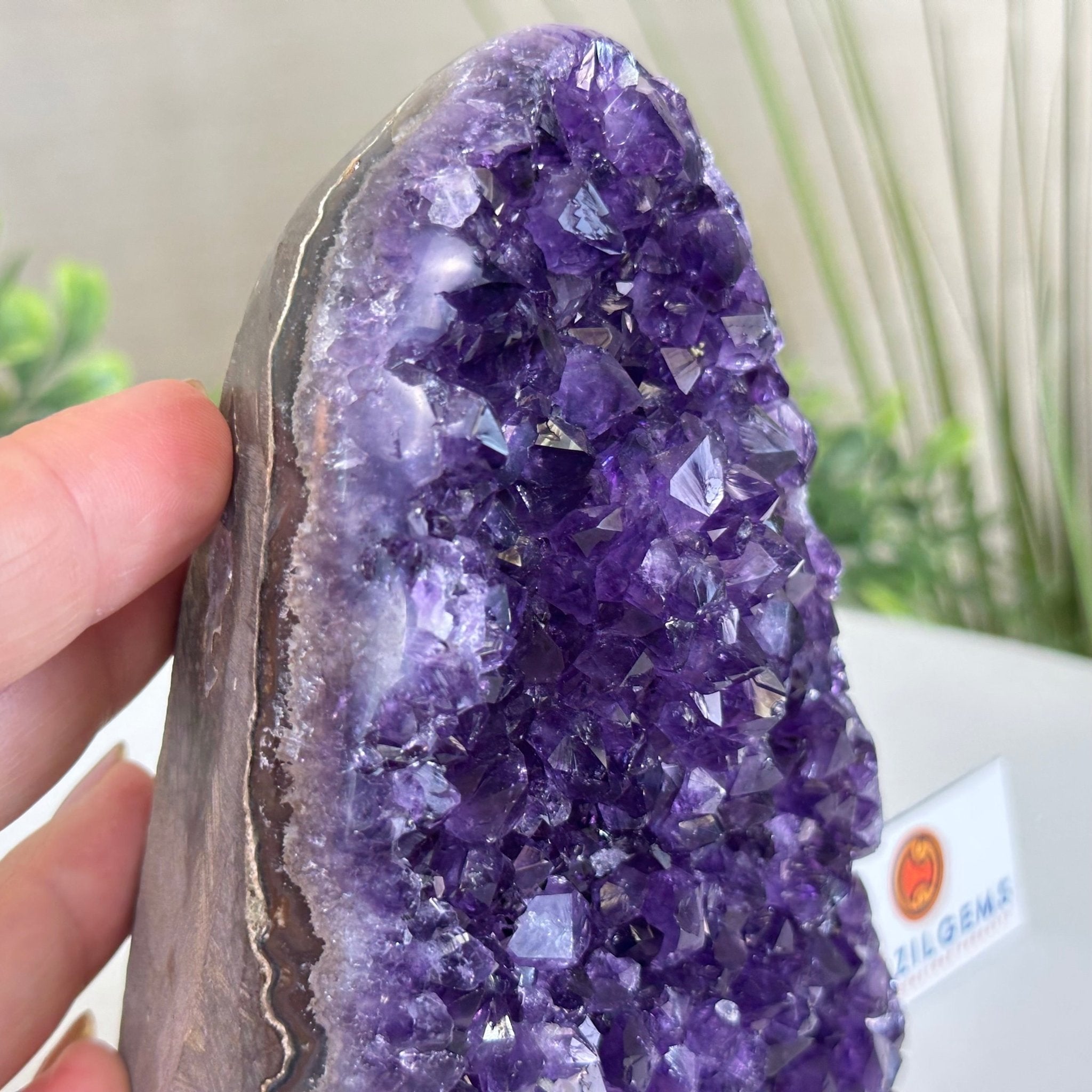 Small Extra Plus Quality Amethyst Cluster Flat Base, 5.4" Tall 5611 - 0923 - Brazil GemsBrazil GemsSmall Extra Plus Quality Amethyst Cluster Flat Base, 5.4" Tall 5611 - 0923Small Clusters with Flat Bases5611 - 0923