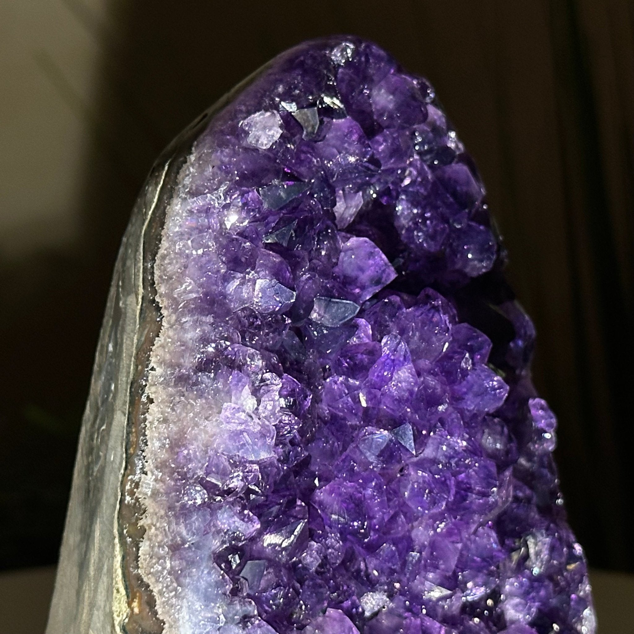 Small Extra Plus Quality Amethyst Cluster Flat Base, 5.4" Tall 5611 - 0923 - Brazil GemsBrazil GemsSmall Extra Plus Quality Amethyst Cluster Flat Base, 5.4" Tall 5611 - 0923Small Clusters with Flat Bases5611 - 0923