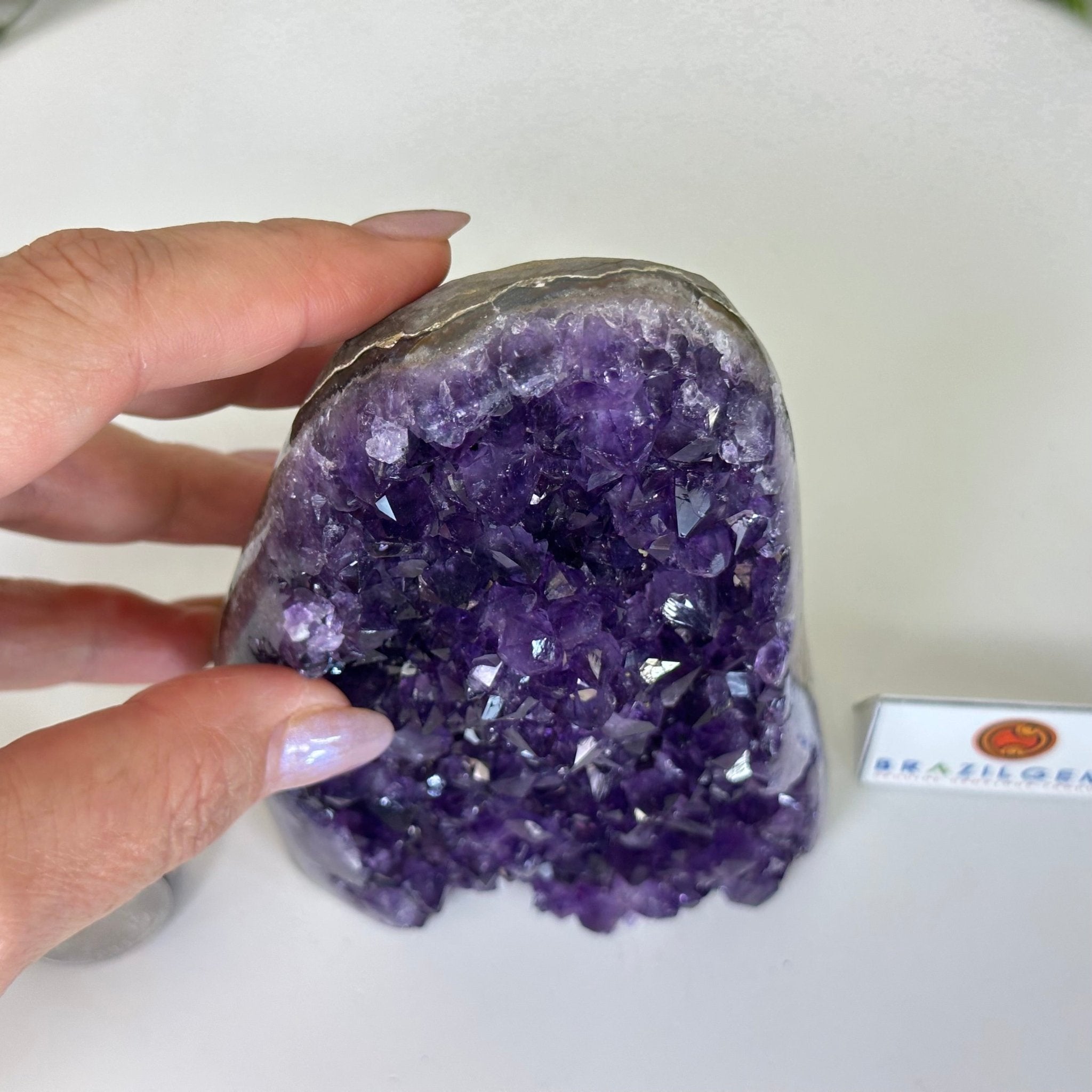 Small Extra Plus Quality Amethyst Cluster Flat Base, 5.4" Tall 5611 - 0923 - Brazil GemsBrazil GemsSmall Extra Plus Quality Amethyst Cluster Flat Base, 5.4" Tall 5611 - 0923Small Clusters with Flat Bases5611 - 0923