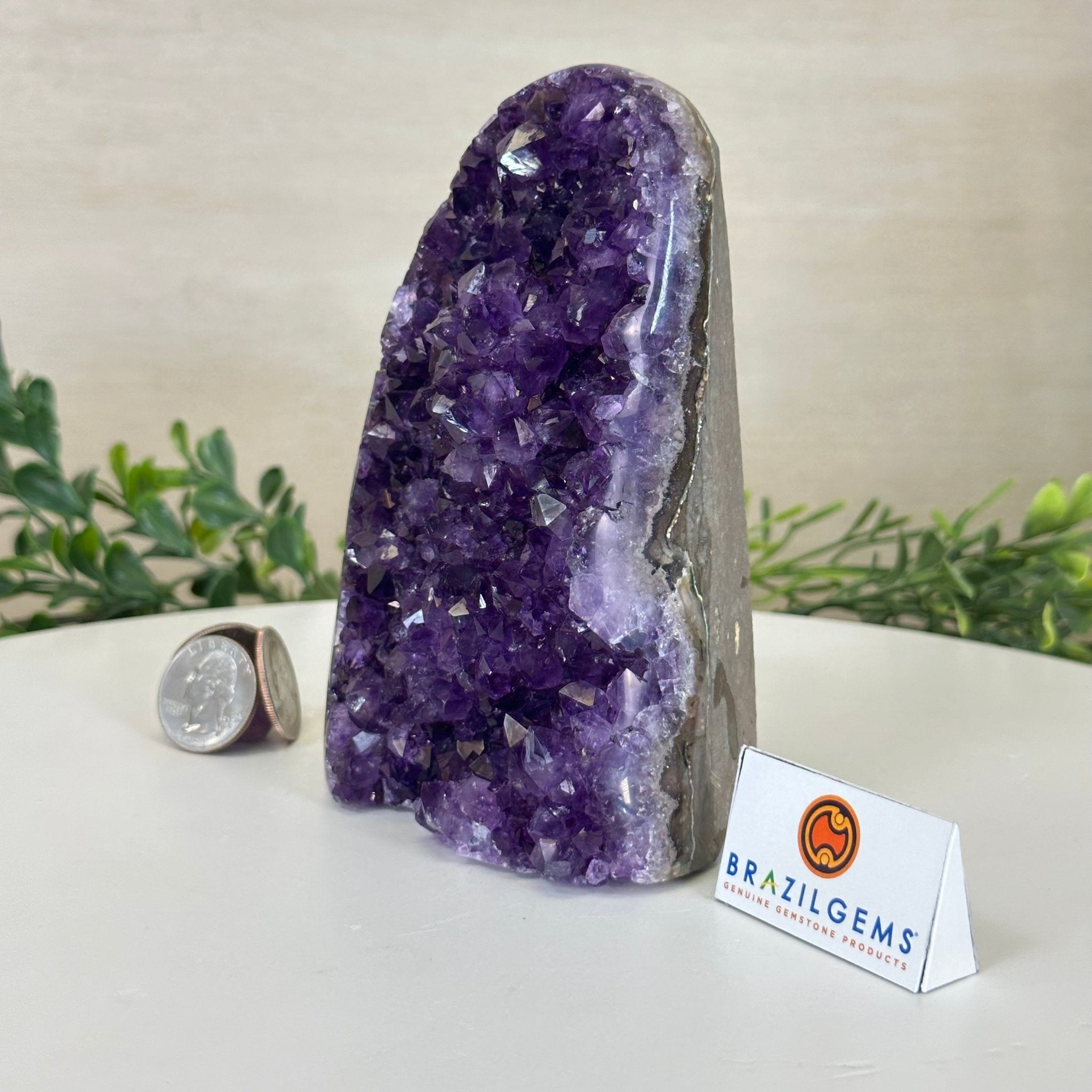 Small Extra Plus Quality Amethyst Cluster Flat Base, 5.4" Tall 5611 - 0923 - Brazil GemsBrazil GemsSmall Extra Plus Quality Amethyst Cluster Flat Base, 5.4" Tall 5611 - 0923Small Clusters with Flat Bases5611 - 0923