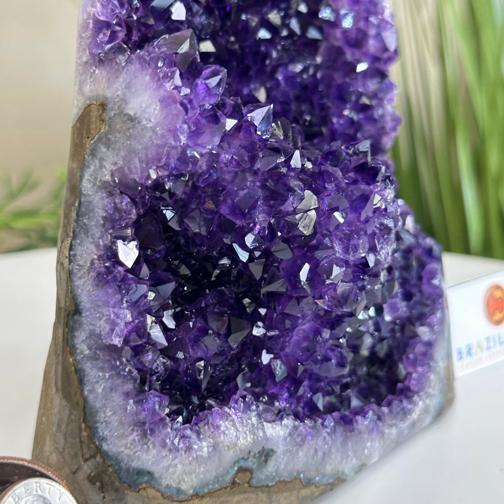 Small Extra Plus Quality Amethyst Cluster Flat Base, 5.9" Tall 5611 - 0926 - Brazil GemsBrazil GemsSmall Extra Plus Quality Amethyst Cluster Flat Base, 5.9" Tall 5611 - 0926Small Clusters with Flat Bases5611 - 0926